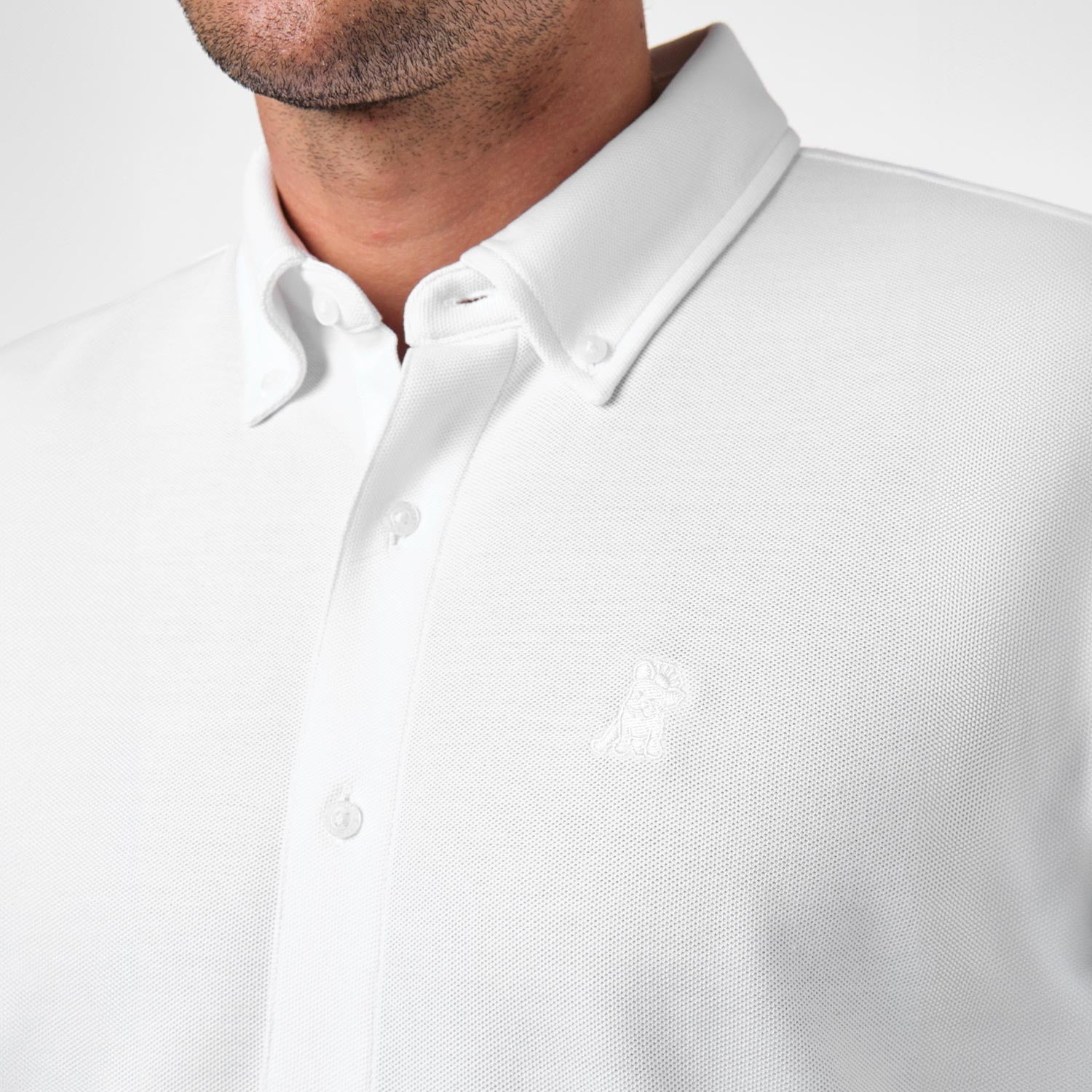 Men's Pique Button Down Shirt - JAMES BARK