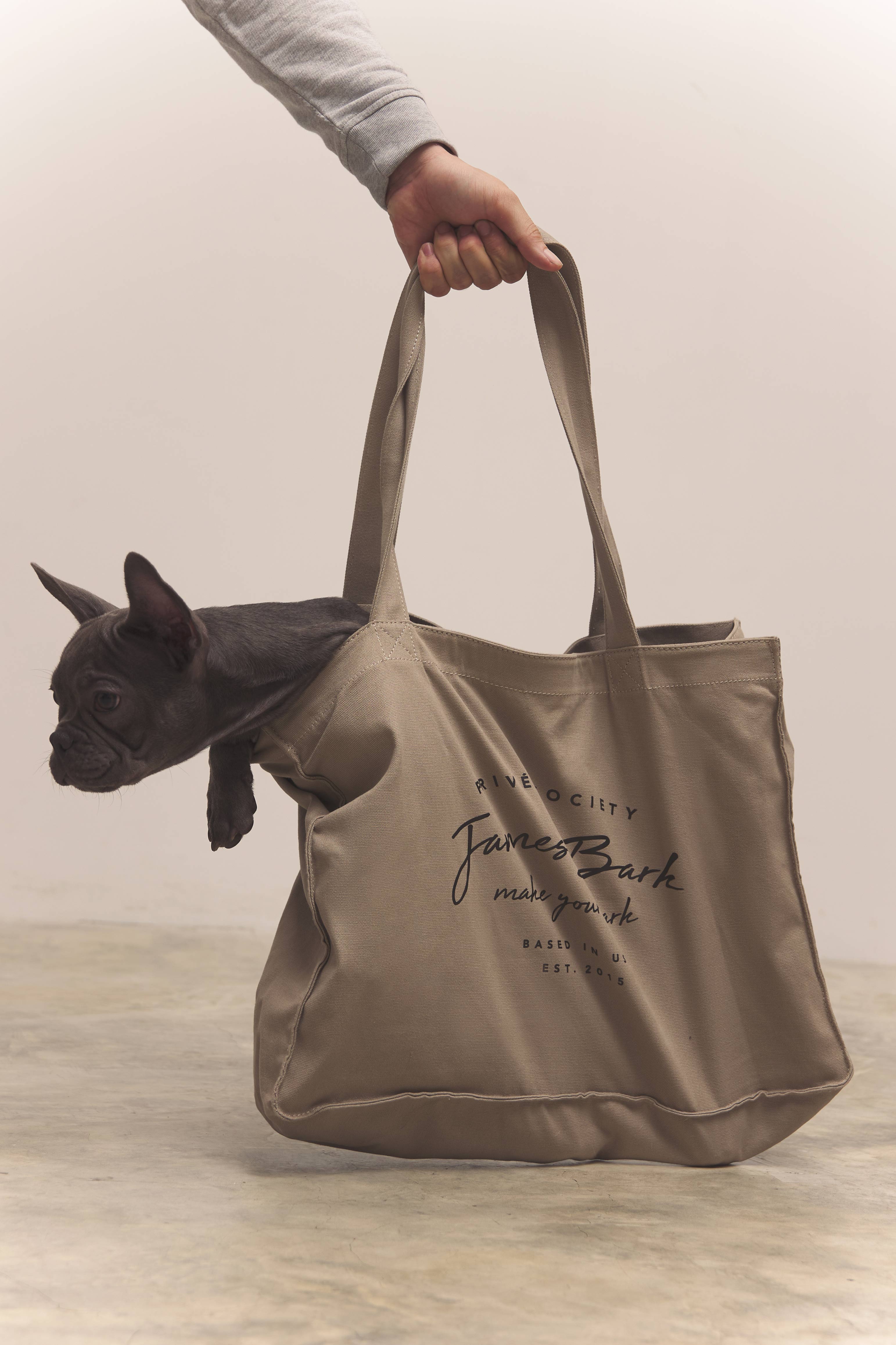 A hand holds up a light brown canvas tote bag with a logo, out of which a small dark gray French Bulldog puppy is looking