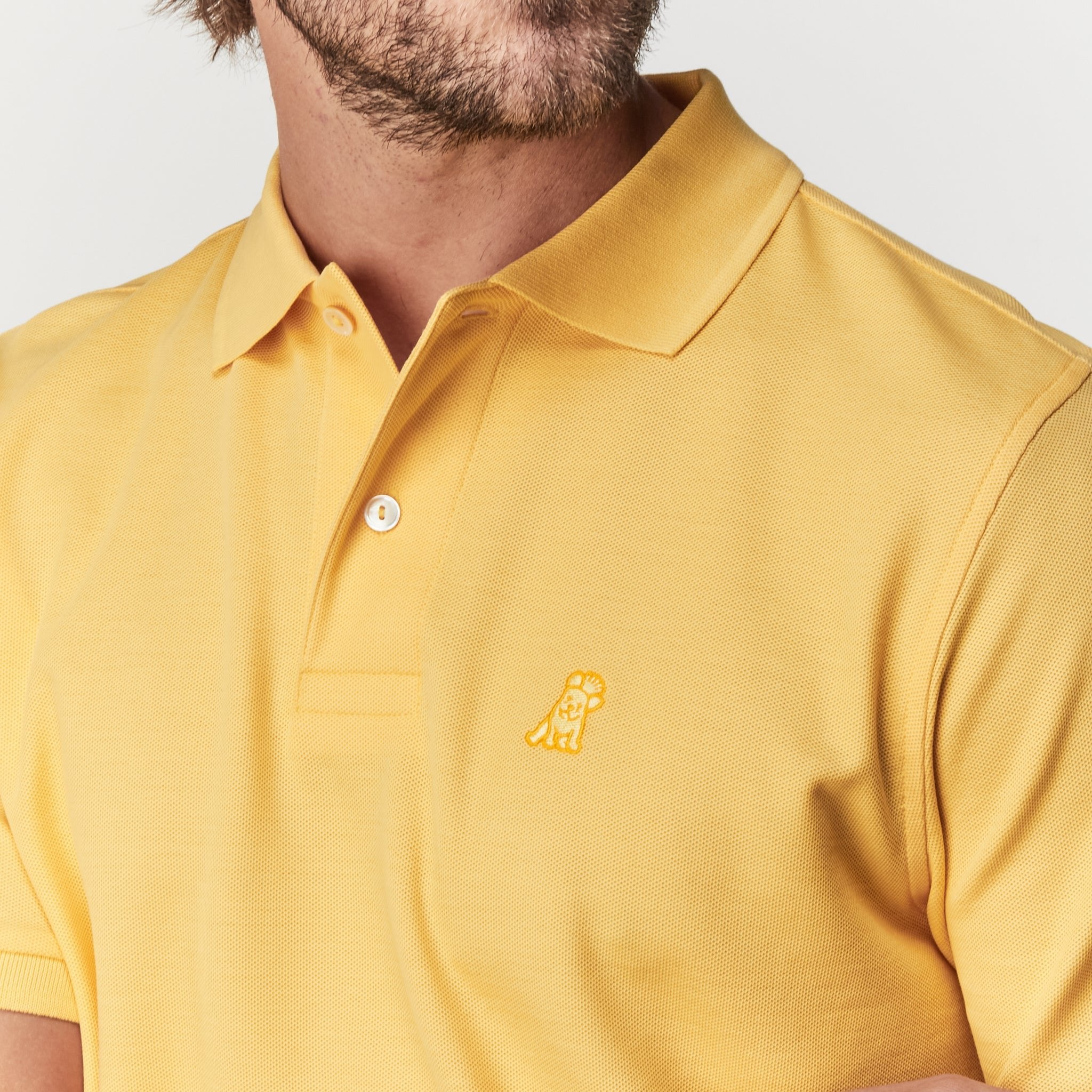 Men's Regular Fit Polo Shirt - JAMES BARK