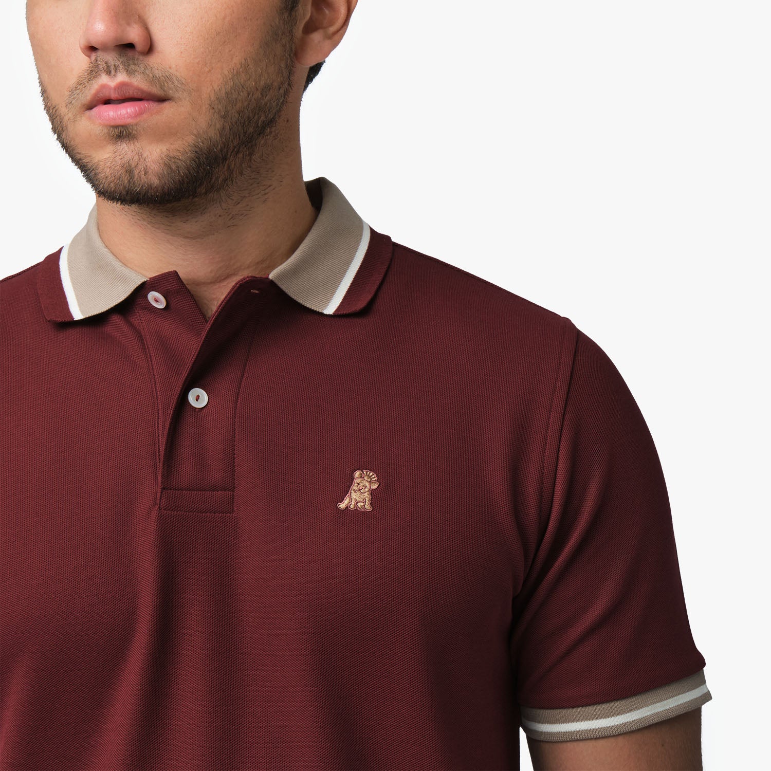 Men's Contrast Neck Lines Detail Polo Shirt - JAMES BARK
