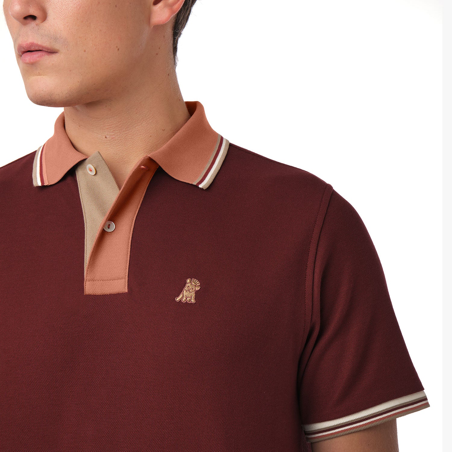 Men's Positano Polo Shirt - JAMES BARK