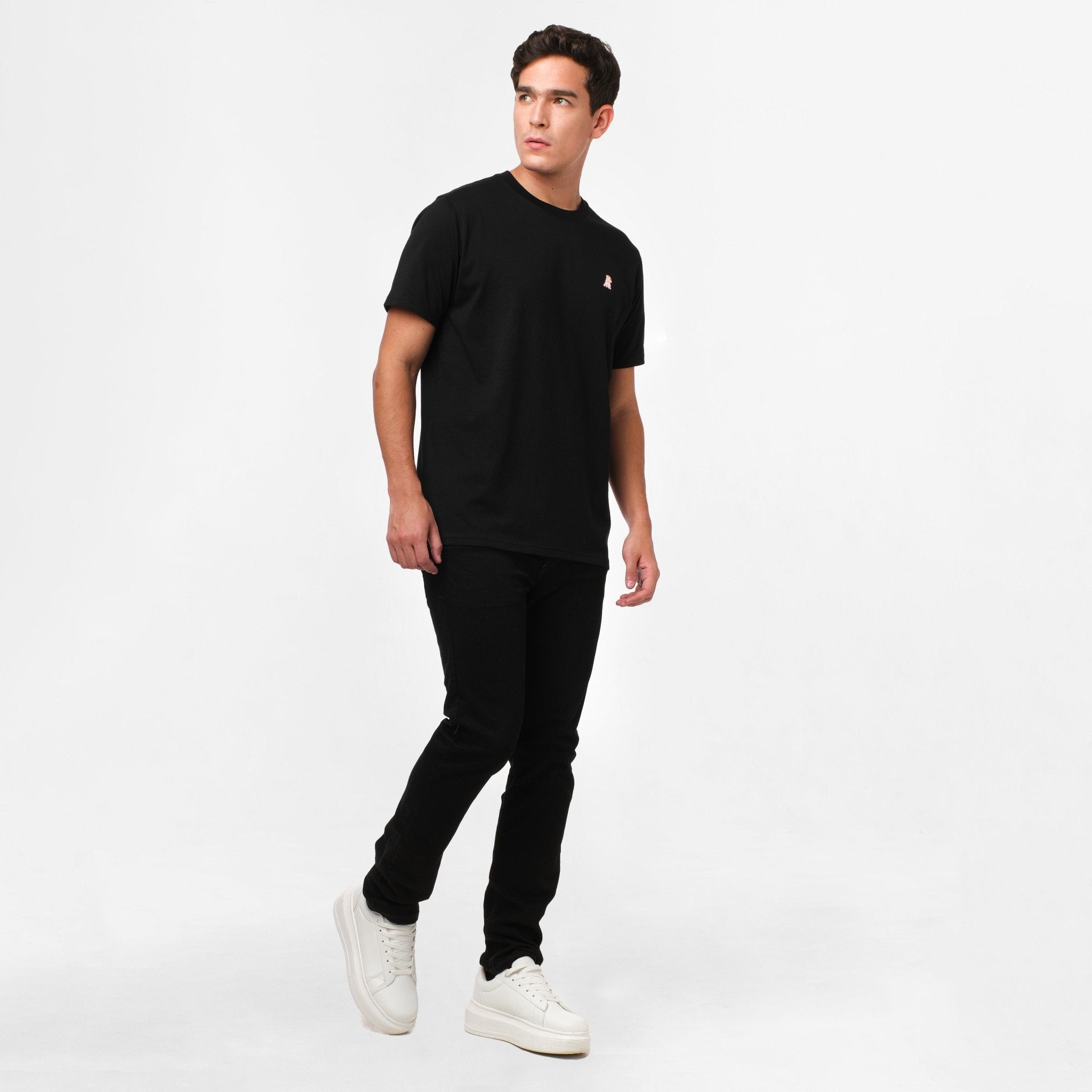 Men's Positano Graphic Tee - JAMES BARK