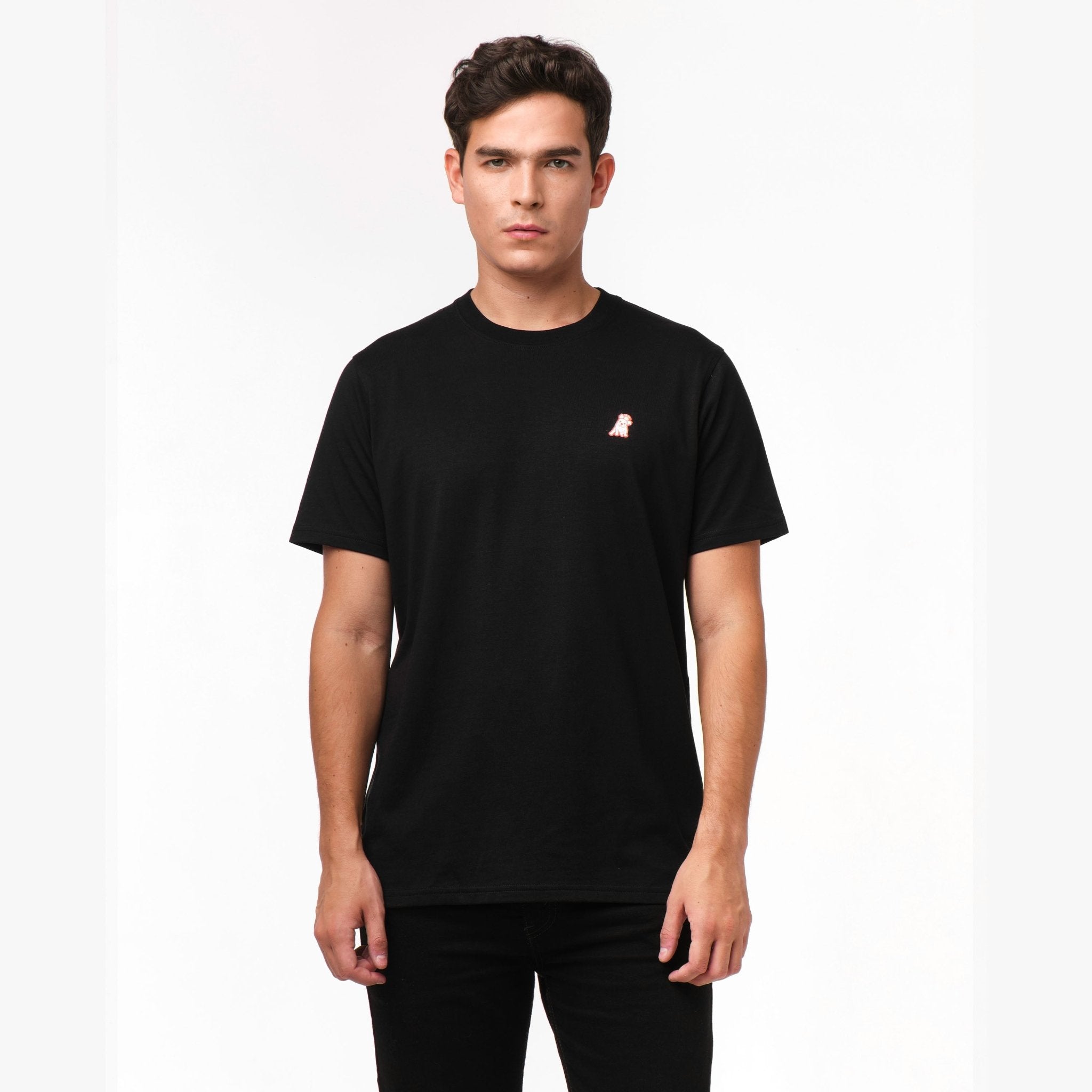 Men's Positano Graphic Tee - JAMES BARK