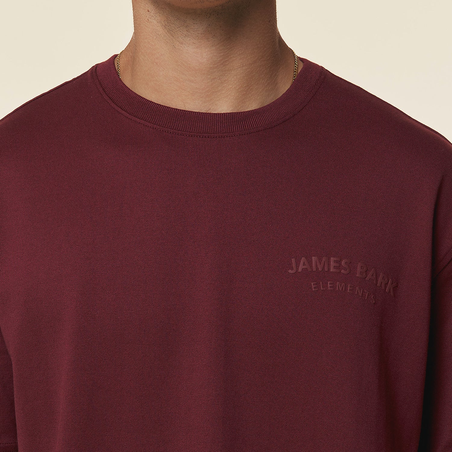 Men's Relaxed Fit Jersey Tee - JAMES BARK