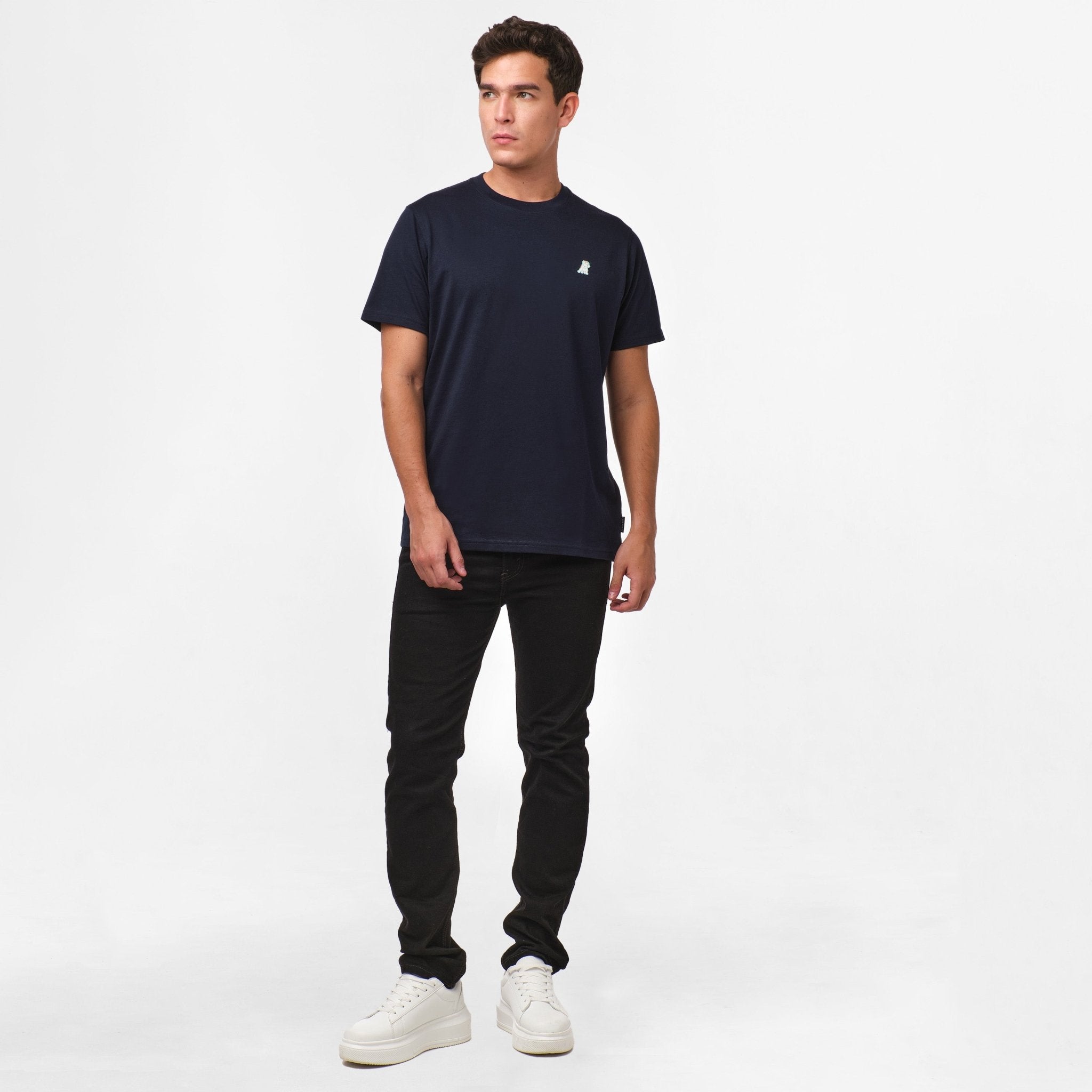Men's Positano Graphic Tee - JAMES BARK