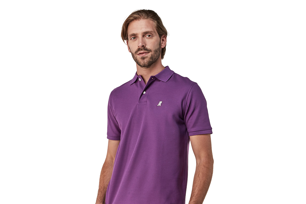 Mens-Regular-Fit-Polo-Shirt