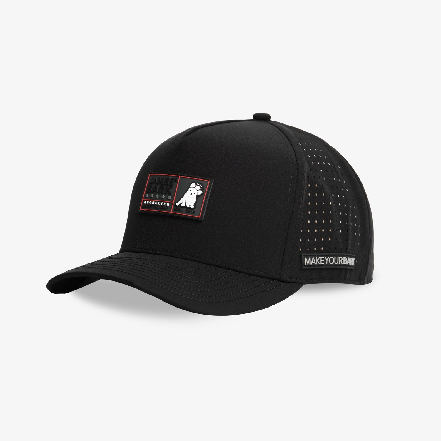 Aronelife Recycled Cap in Black - JAMES BARK