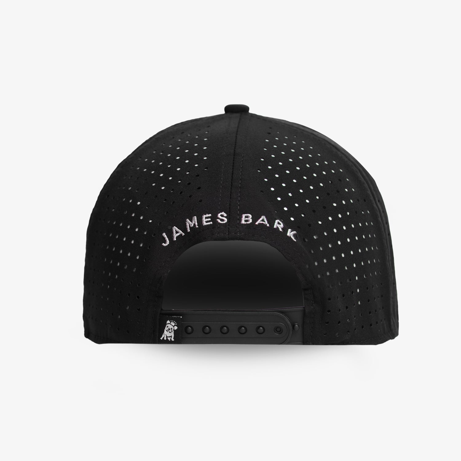Aronelife Recycled Cap in Black - JAMES BARK