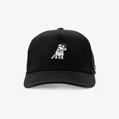 A black structured baseball cap with a white embroidered cartoon dog patch on the front