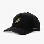 Black baseball cap with gold brand logo on a white background
