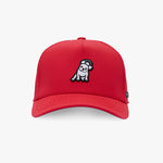 A red baseball cap featuring a small embroidered cartoon dog patch on the front, set against a clean white background.