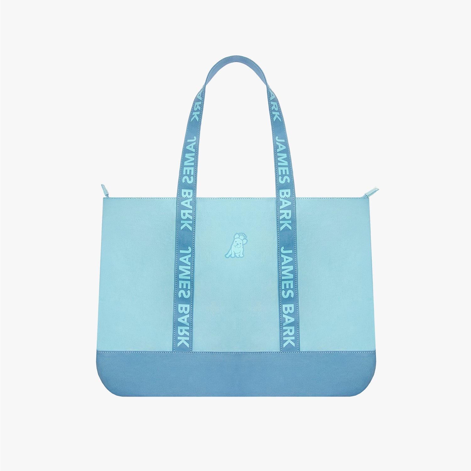Color Block Tote Bag — Blue - JAMES BARK