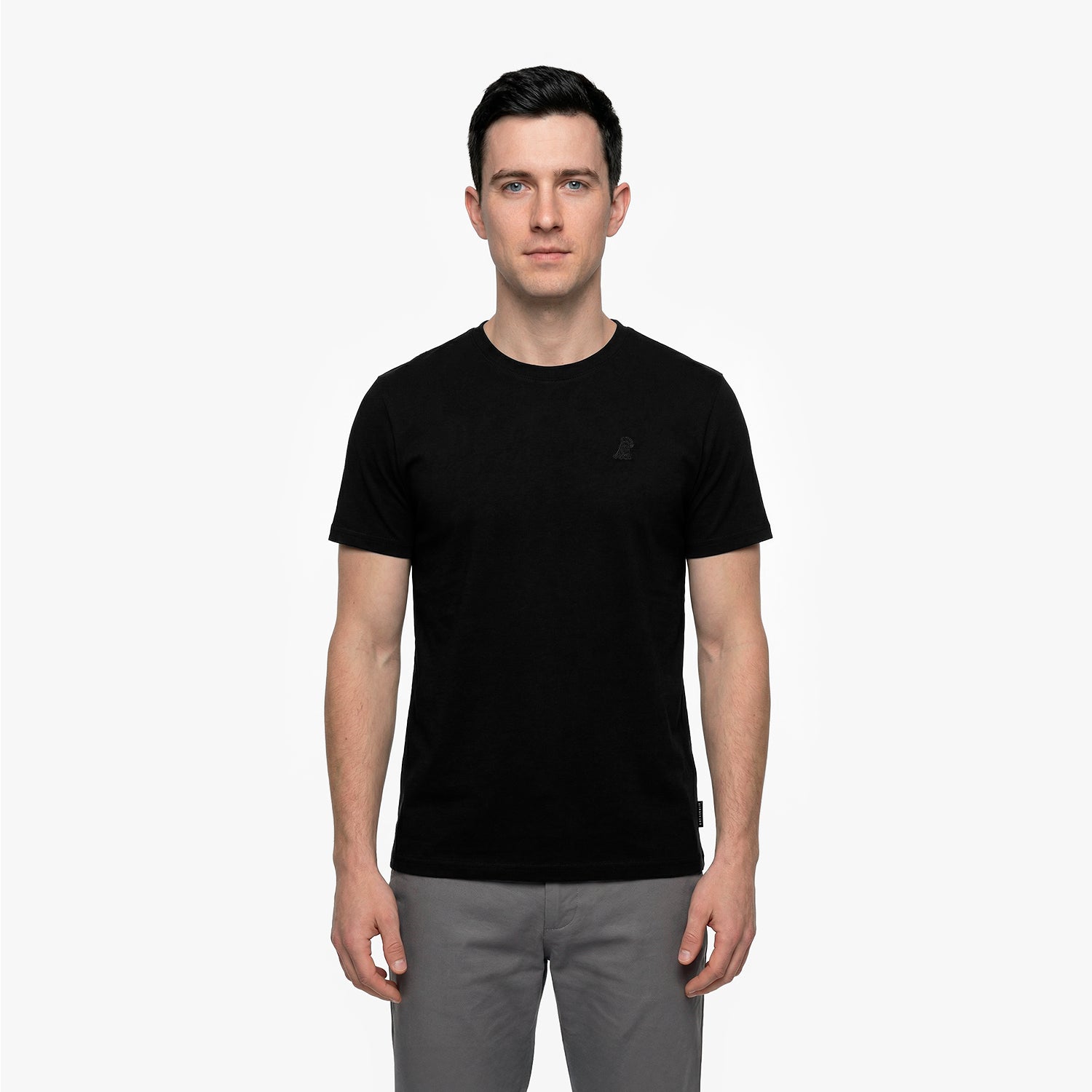 Men's Crew Neck Jersey T-Shirt — Black Beauty/Black - JAMES BARK