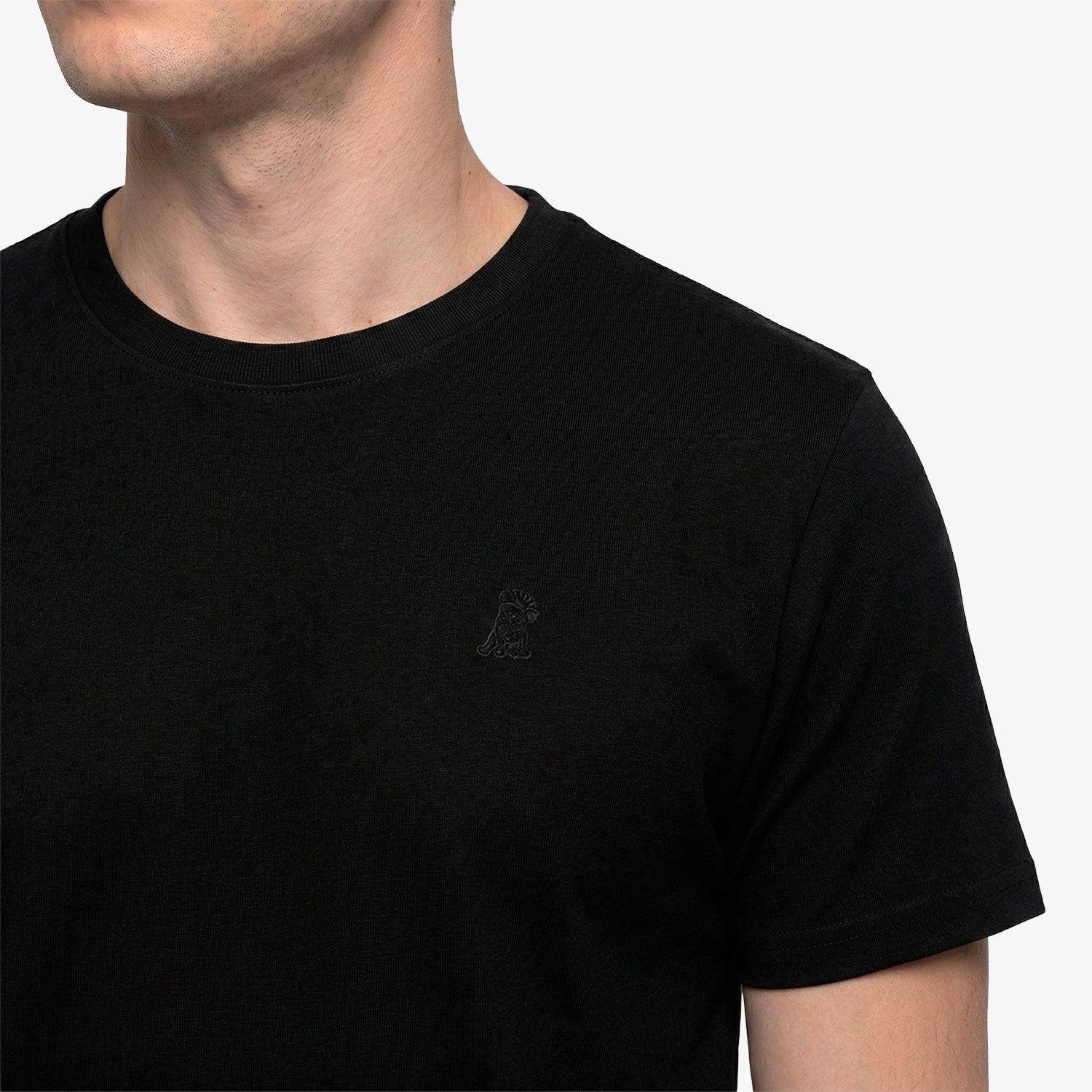 Men's Crew Neck Jersey T-Shirt — Black Beauty/Black - JAMES BARK