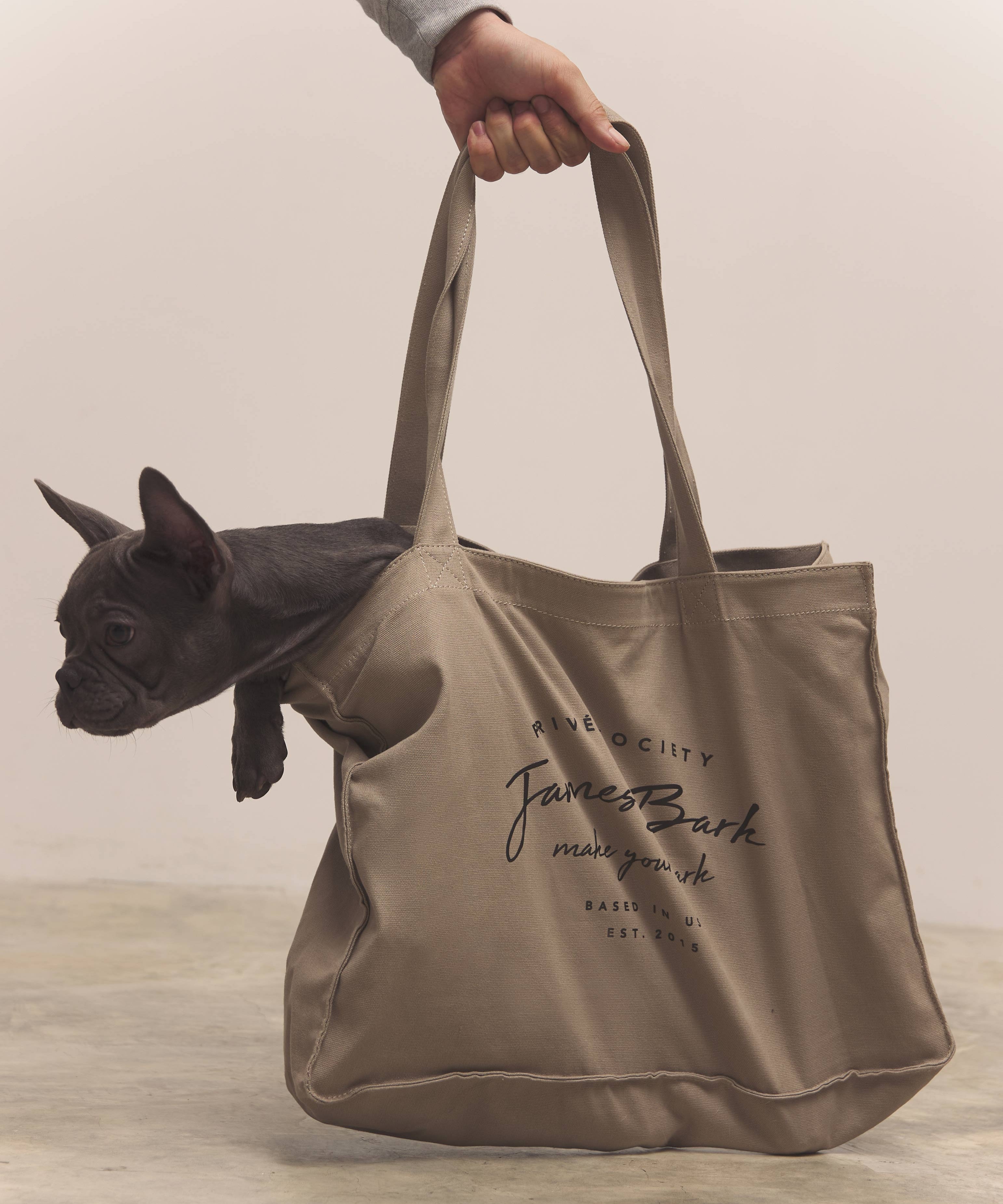 A hand holds up a light brown canvas tote bag with a logo, out of which a small dark gray French Bulldog puppy is looking
