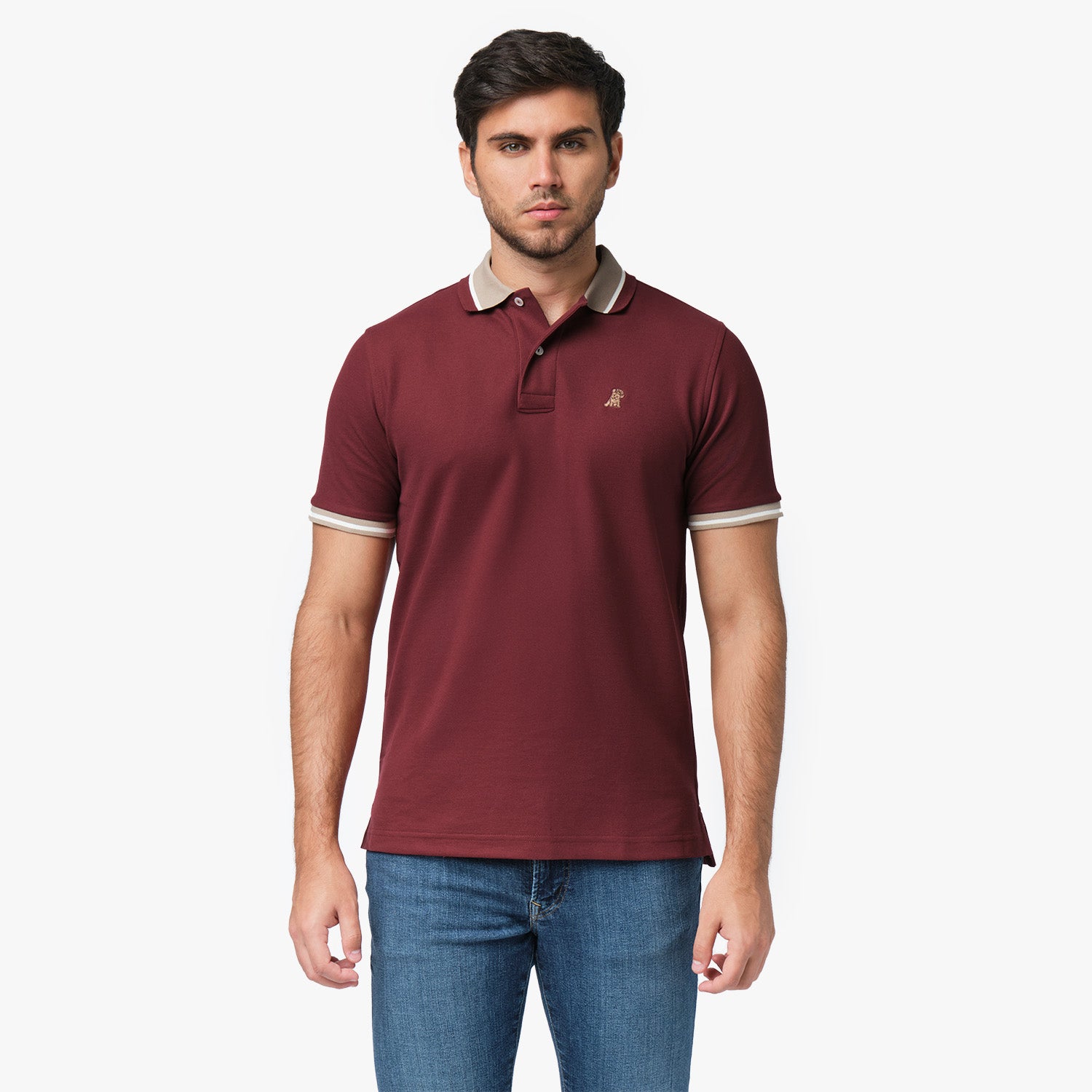 Men's Contrast Neck Lines Detail Polo Shirt-JAMES BARK