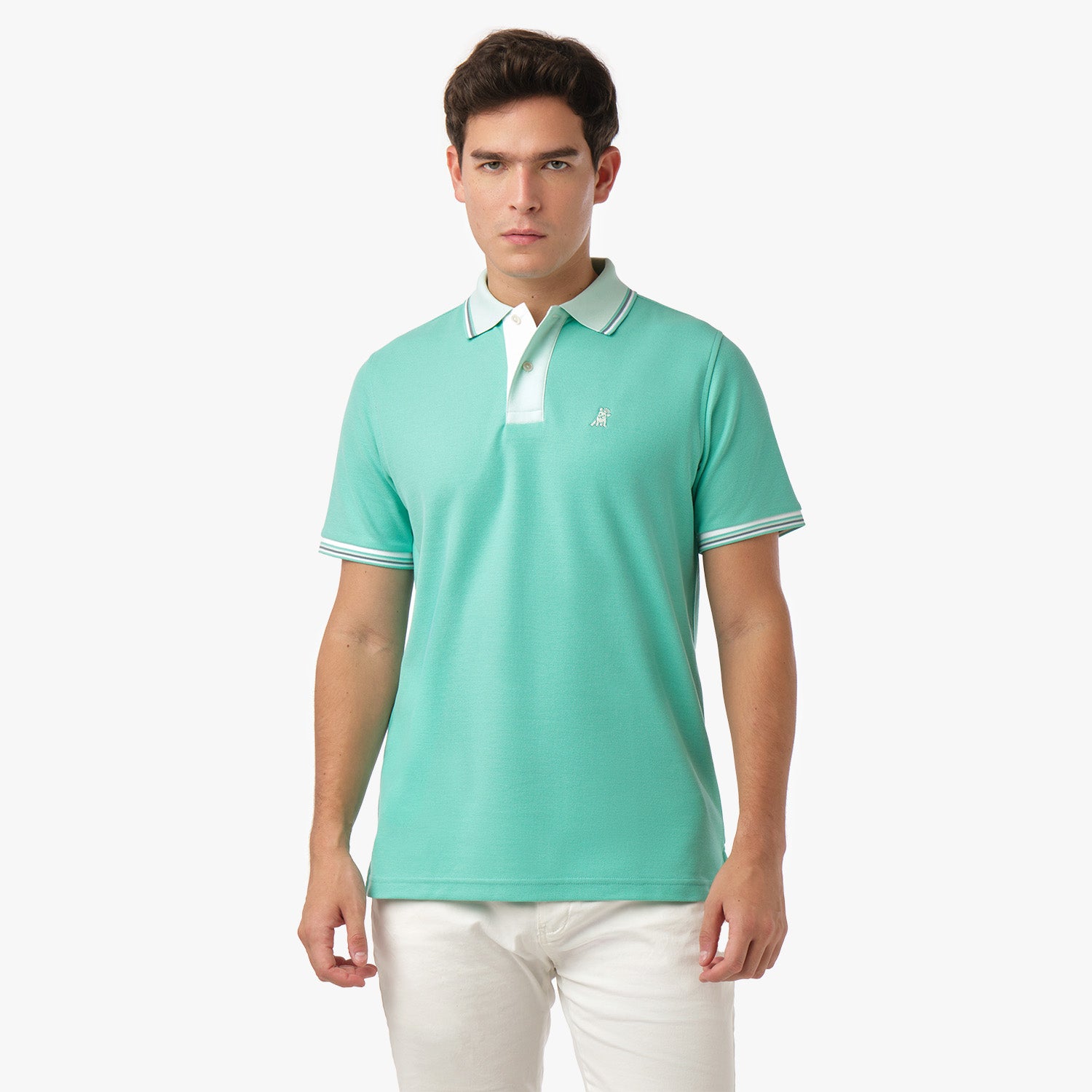 Men's Positano Polo Shirt-JAMES BARK