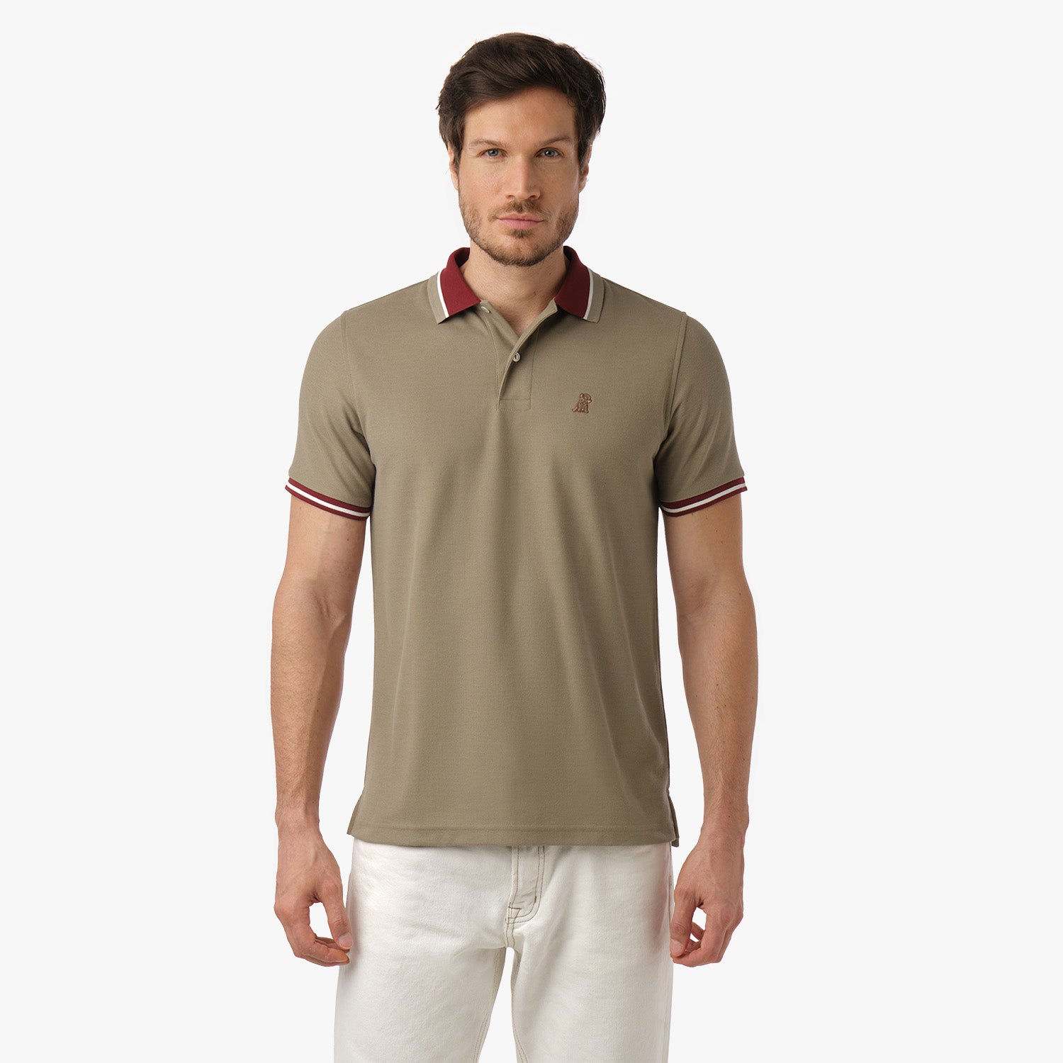 Men's Contrast Neck Lines Detail Polo Shirt-JAMES BARK