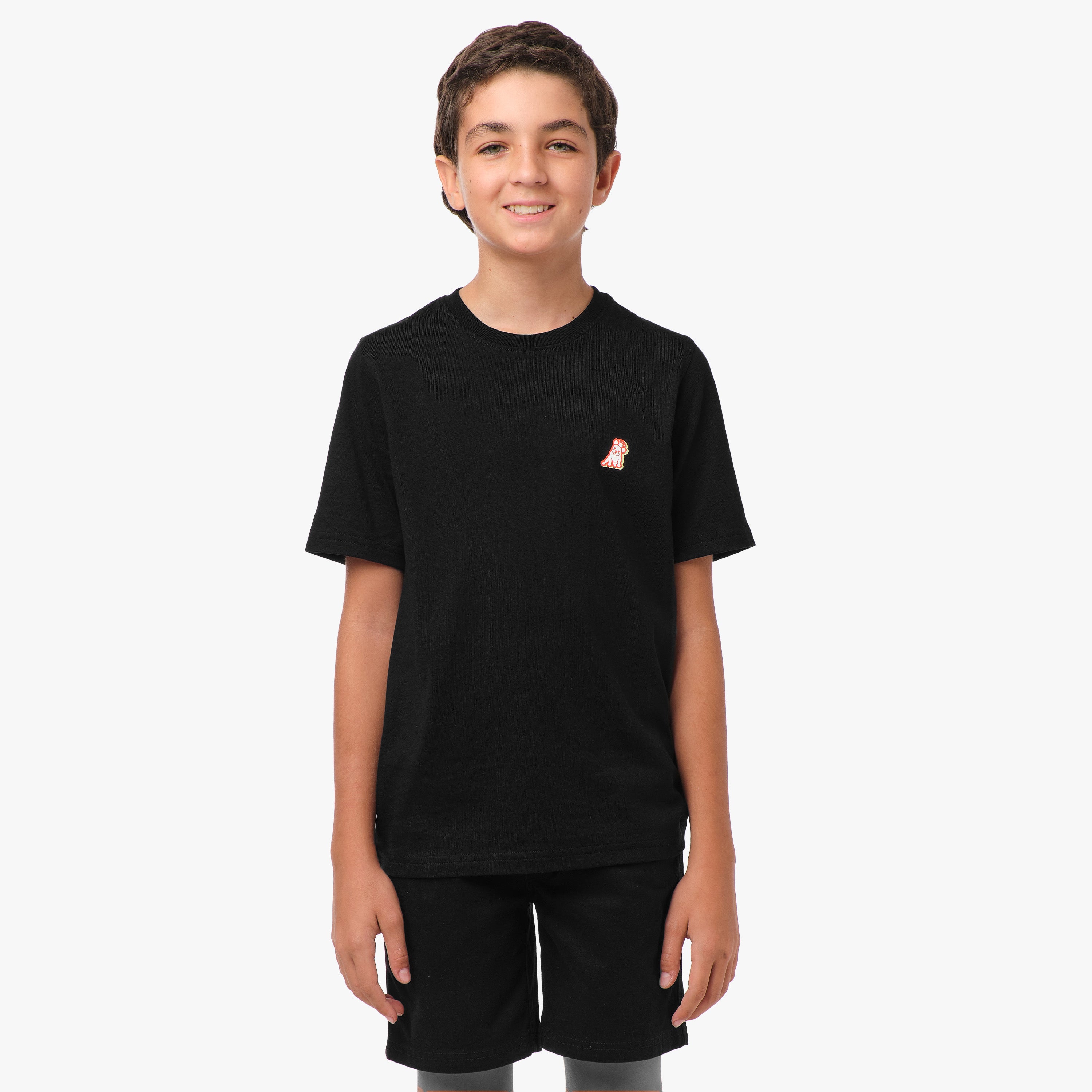 Front view of a boy standing and wearing a black t-shirt with a small logo on the chest.