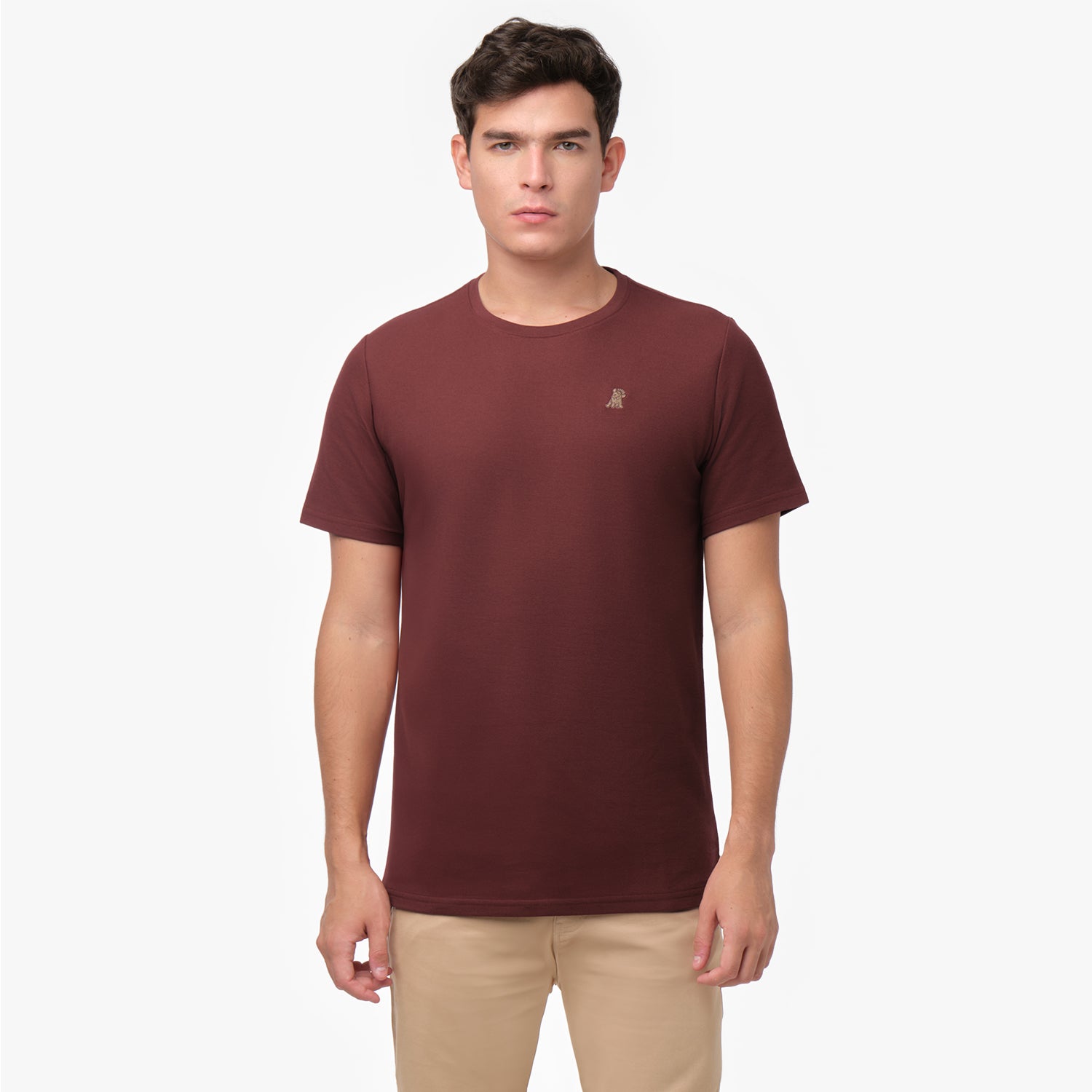 Male model showcasing the front of a maroon men's crew neck t-shirt with a logo, paired with tan chino pants, shot on white.