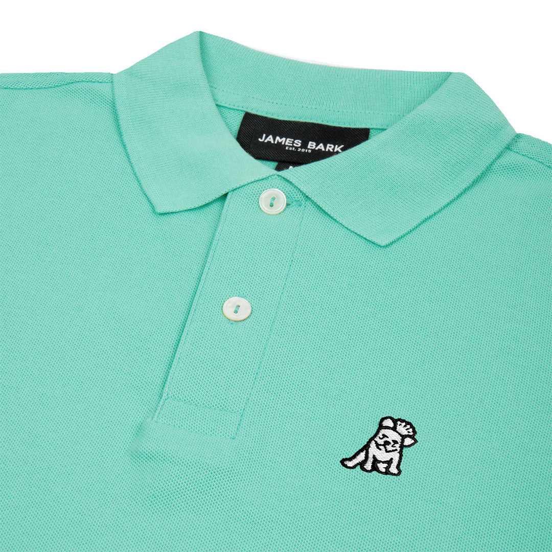 Close-up of the neckline and collar of the mint green polo shirt, showing the button details.