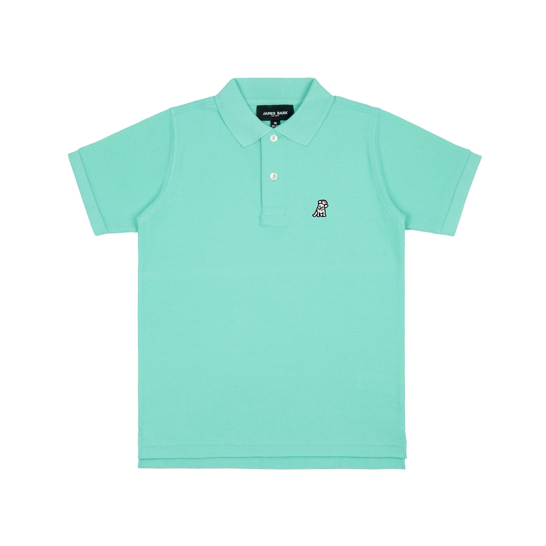 Flat lay of the mint green polo shirt, showing the front with the embroidered logo on the chest and buttoned collar.