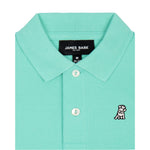 Close-up of the collar and chest area of the mint green polo shirt, showing the button placket and embroidered logo.