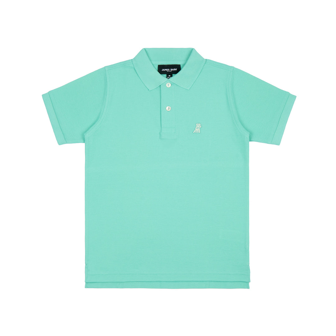 Flat lay of the mint green polo shirt, showing the front with the embroidered logo on the chest and buttoned collar.