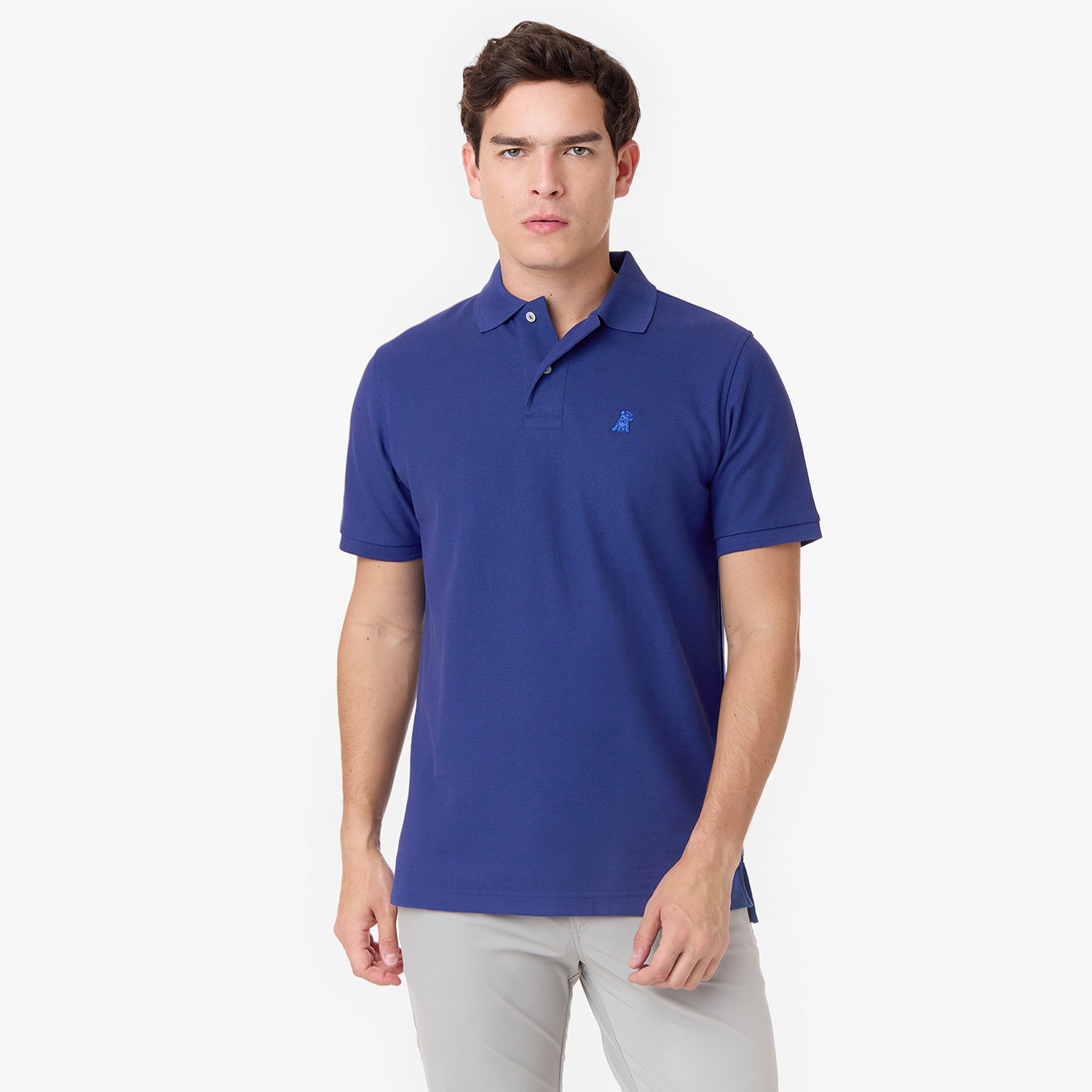 Male model wearing the navy blue James Bark polo shirt with blue embroidery, paired with light gray pants