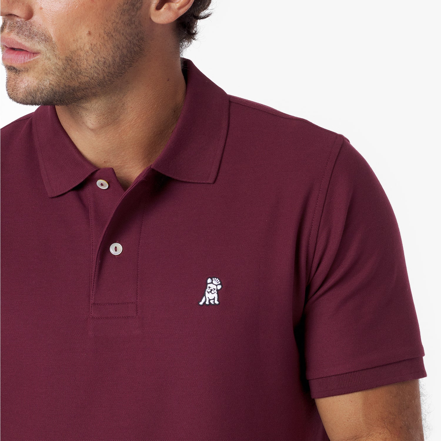 Men's Regular Fit Polo Shirt — Tawny Port/White - JAMES BARK