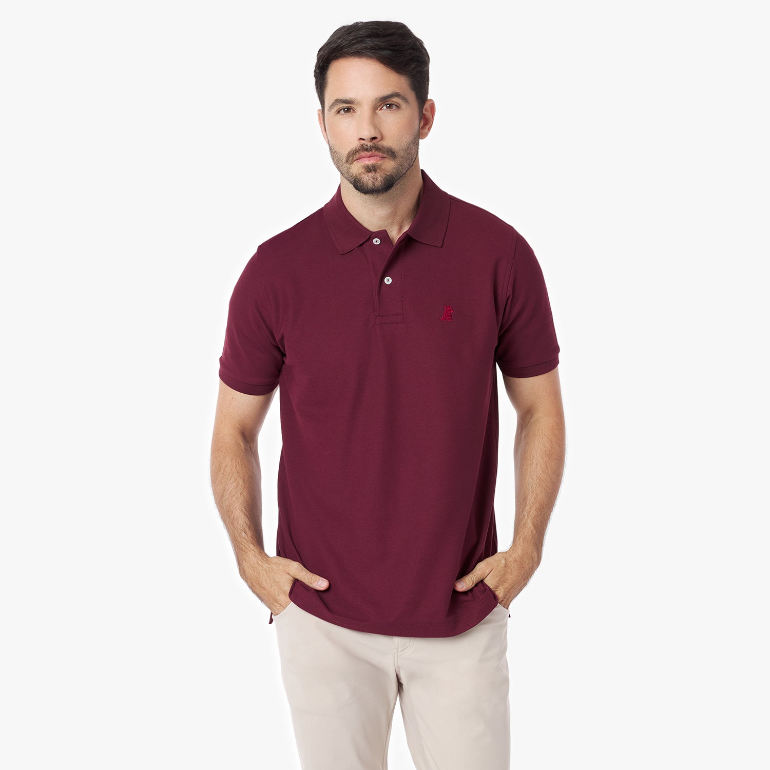 Men's Regular Fit Polo Shirt — Tawny Port/Merlot - JAMES BARK