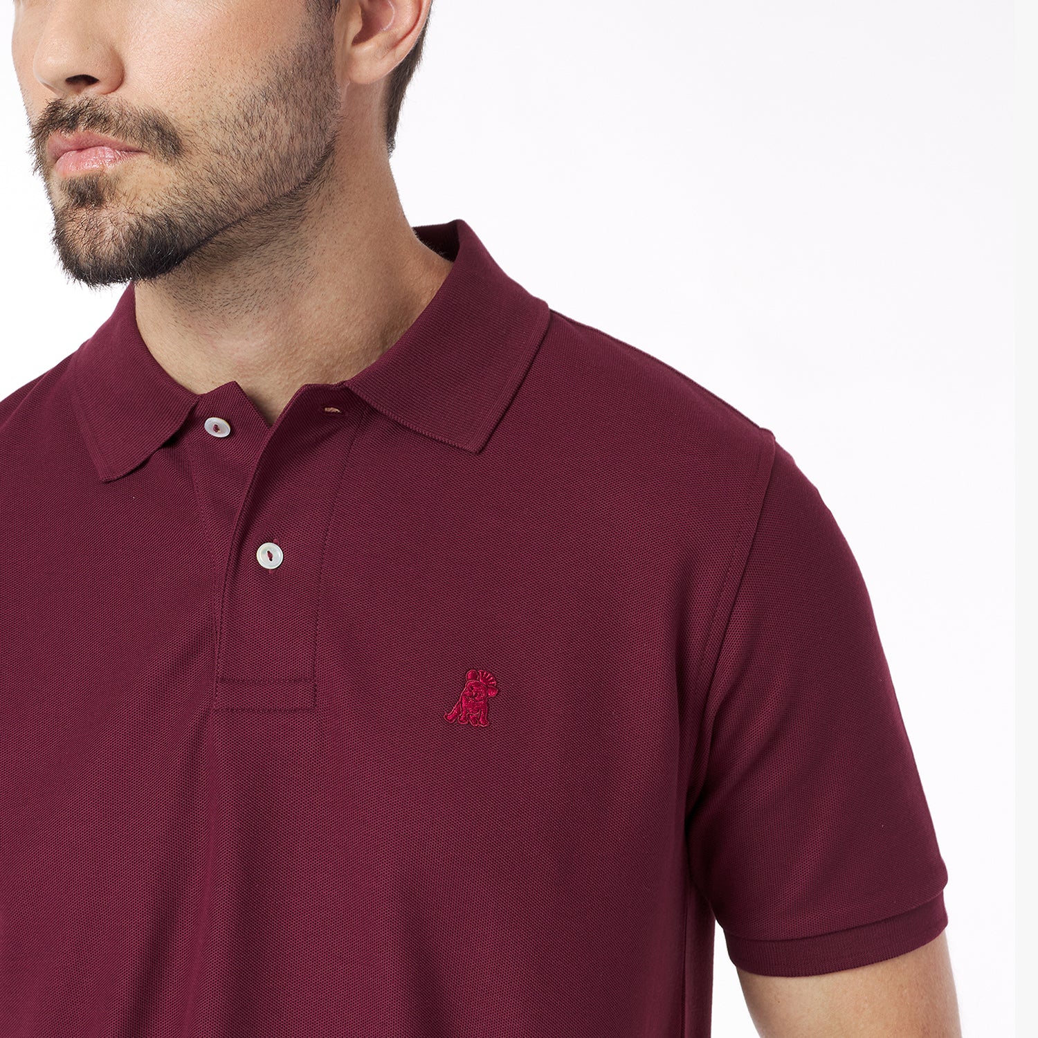 Men's Regular Fit Polo Shirt — Tawny Port/Merlot - JAMES BARK