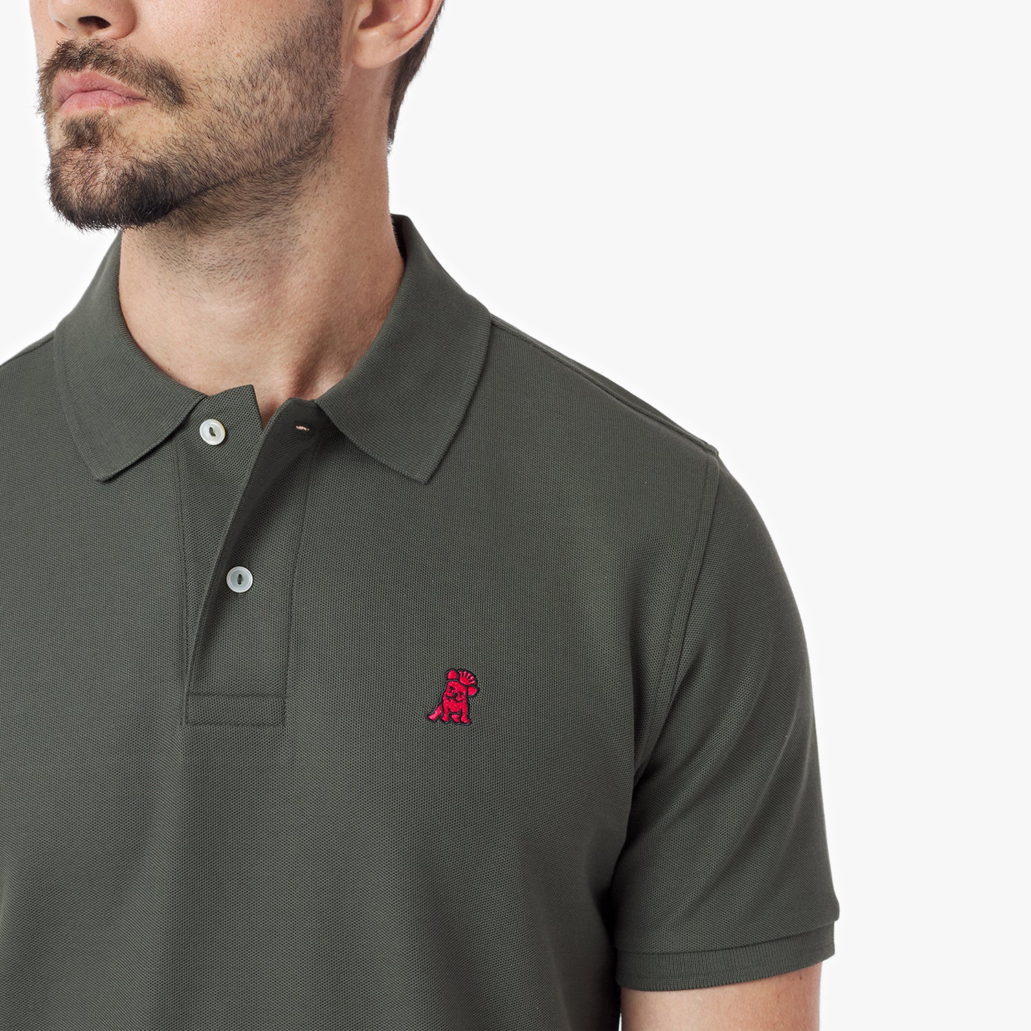 Men's Regular Fit Polo Shirt — Grape Leaf/Red - JAMES BARK