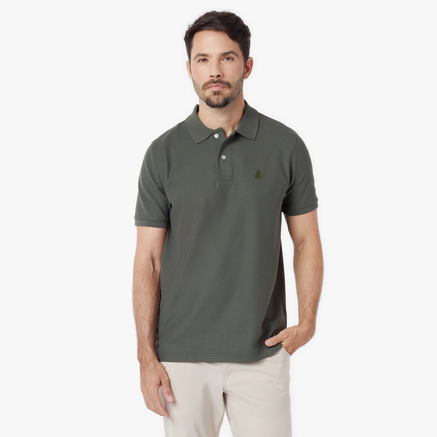 Men's Regular Fit Polo Shirt — Grape Leaf/Green - JAMES BARK