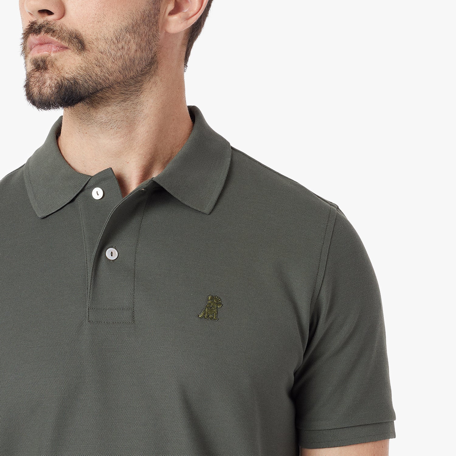 Men's Regular Fit Polo Shirt — Grape Leaf/Green - JAMES BARK