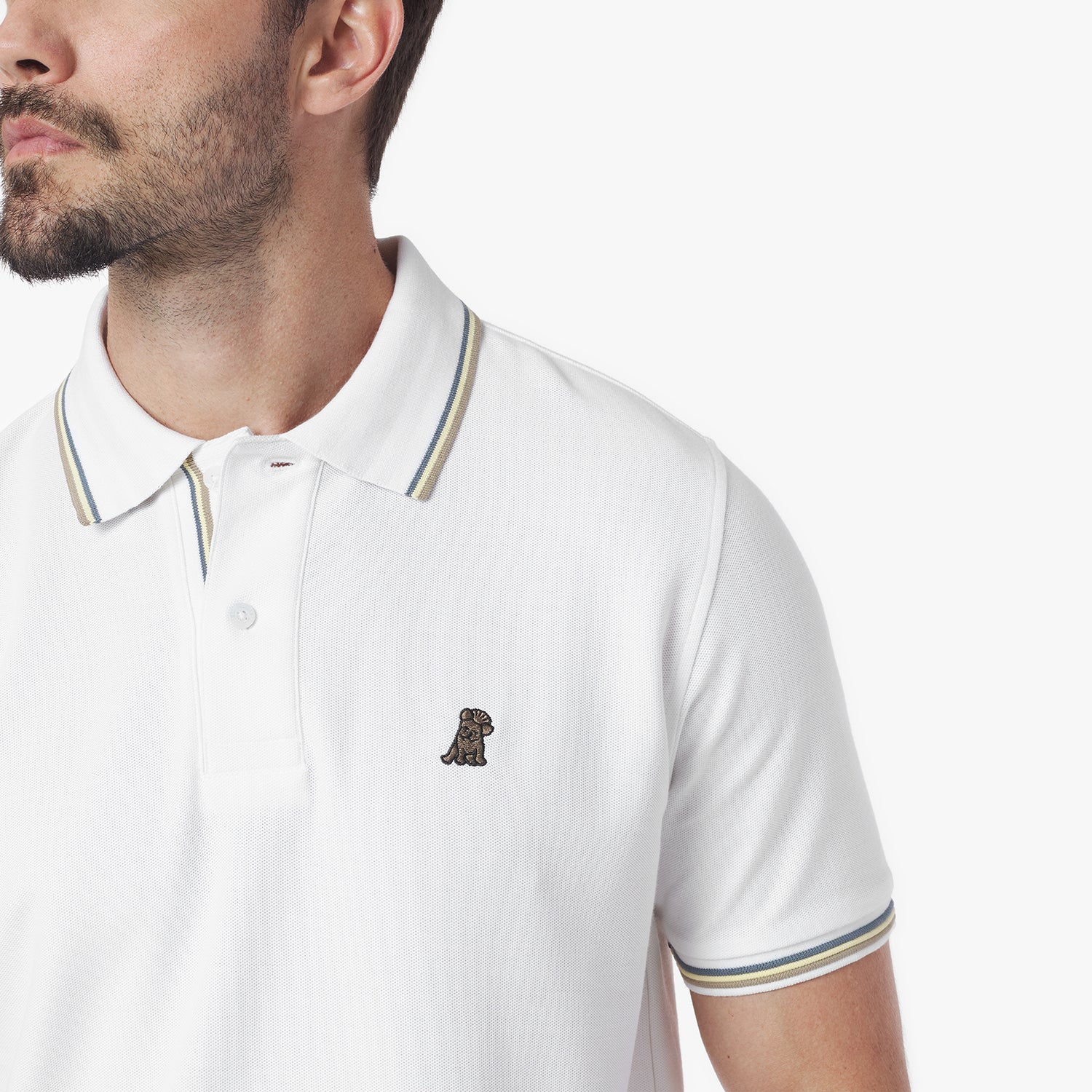 Men's Multi Striped Polo Shirt - JAMES BARK