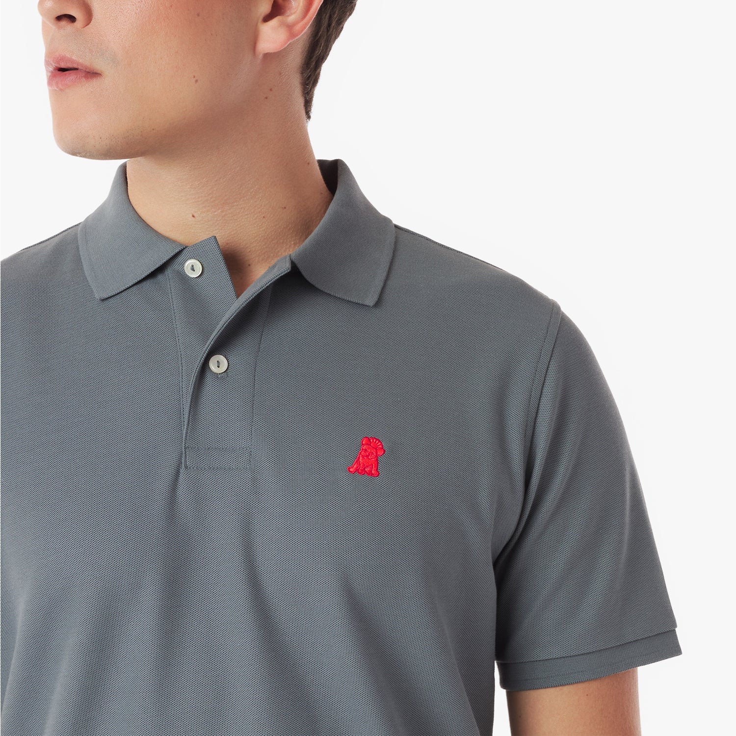 Close-up of a gray polo shirt with a red logo on a white background