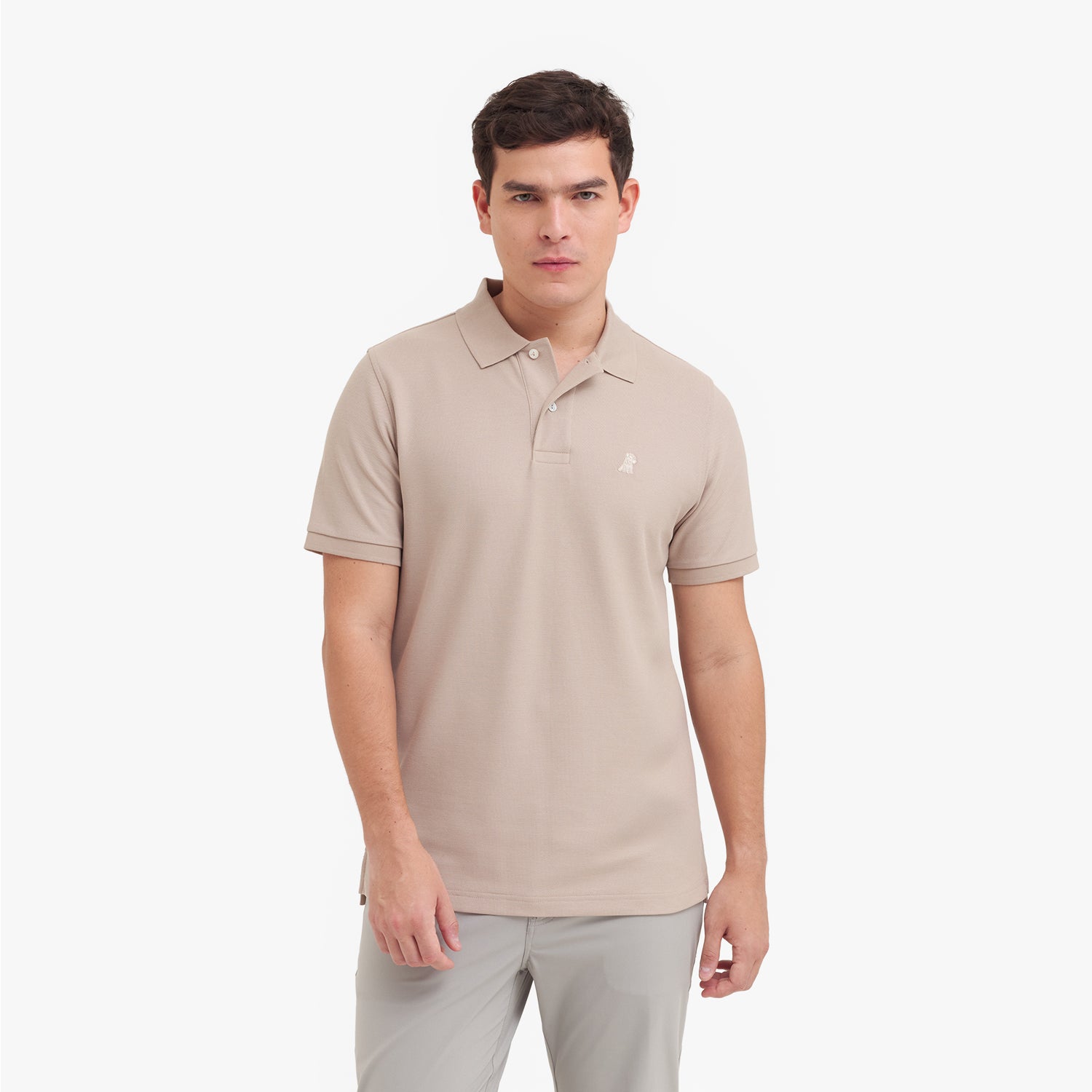 Men's Regular Fit Polo Shirt — Simply Taupe/Beige - JAMES BARK