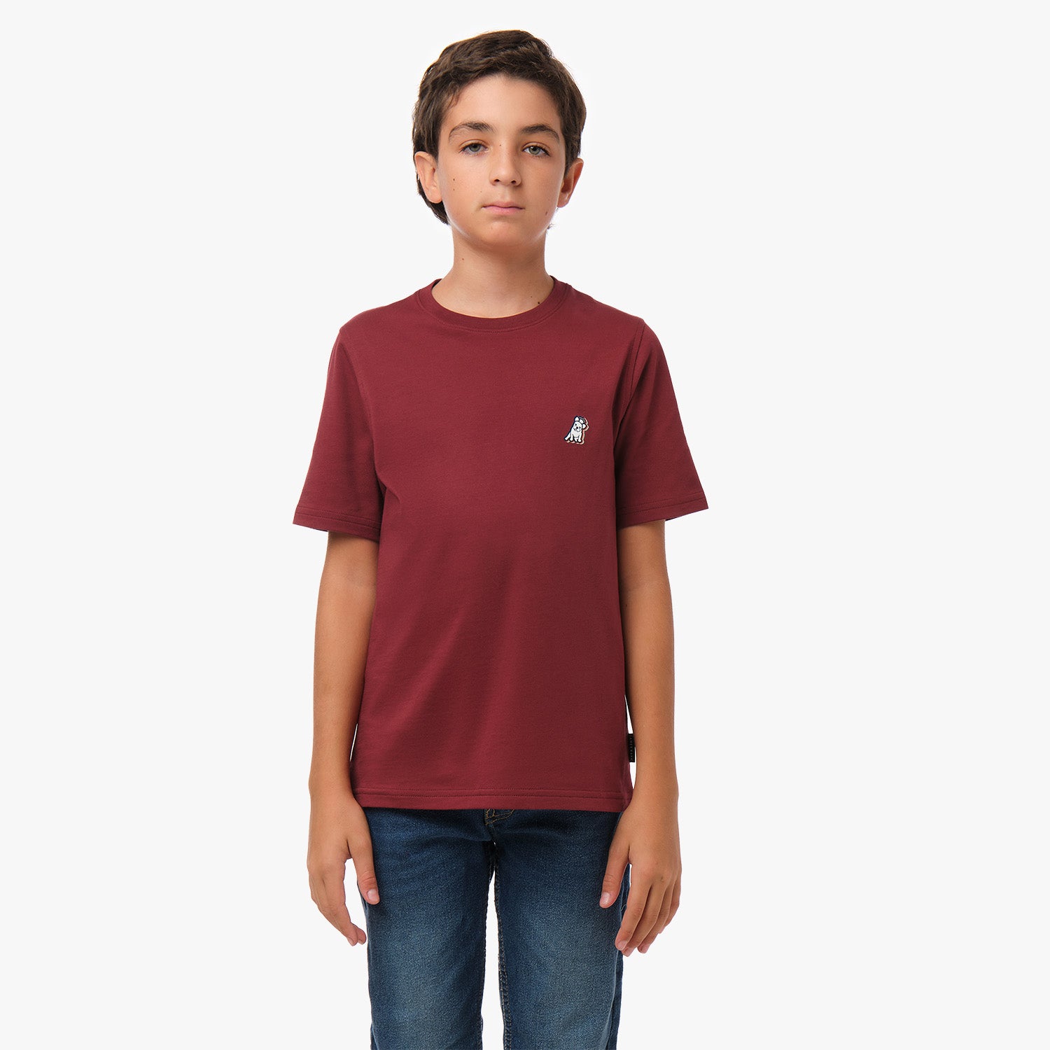 Front view of a young boy wearing a burgundy T-shirt with a small dog graphic on the chest, paired with blue jeans.