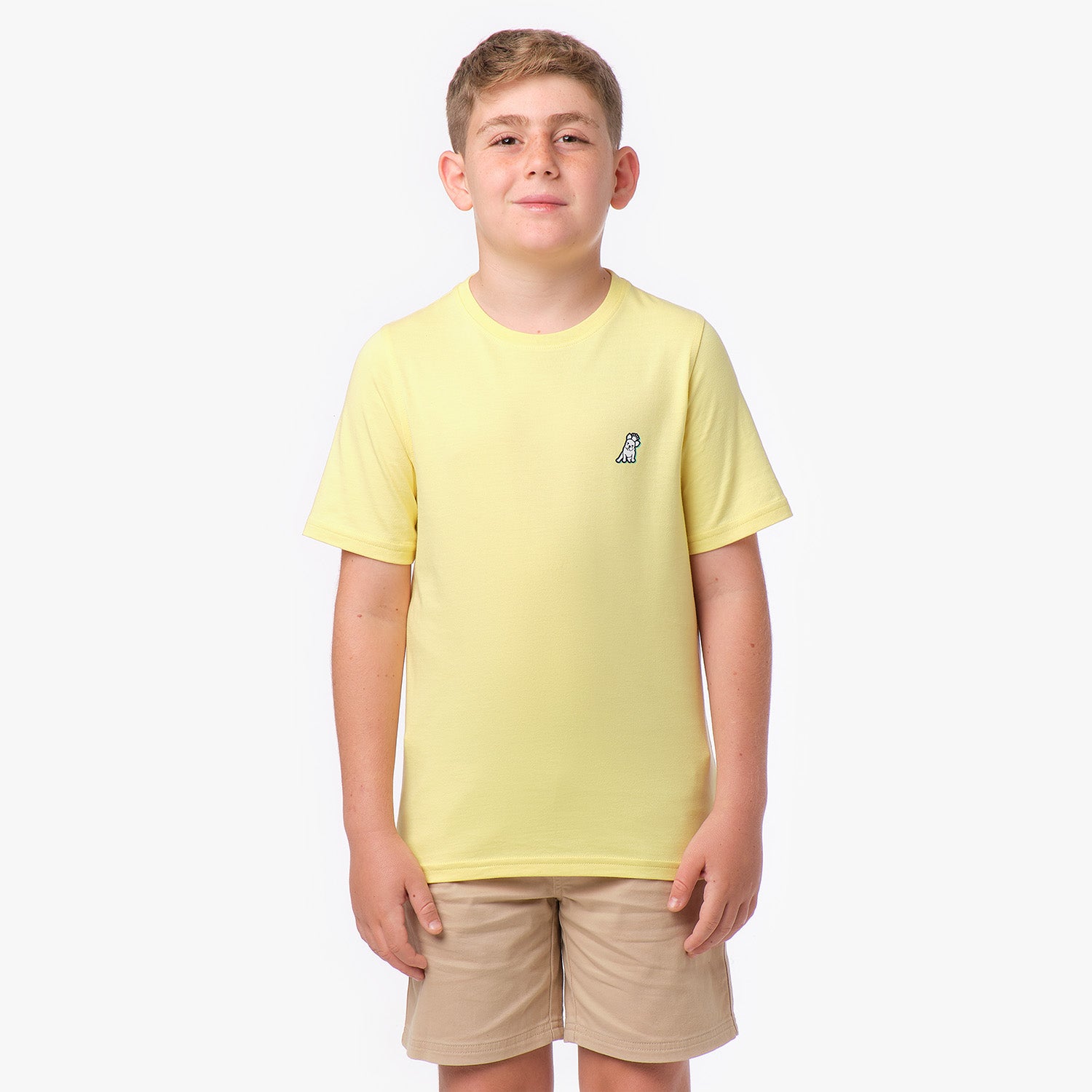 Front view of a boy wearing a yellow T-shirt with a small dog graphic on the chest.