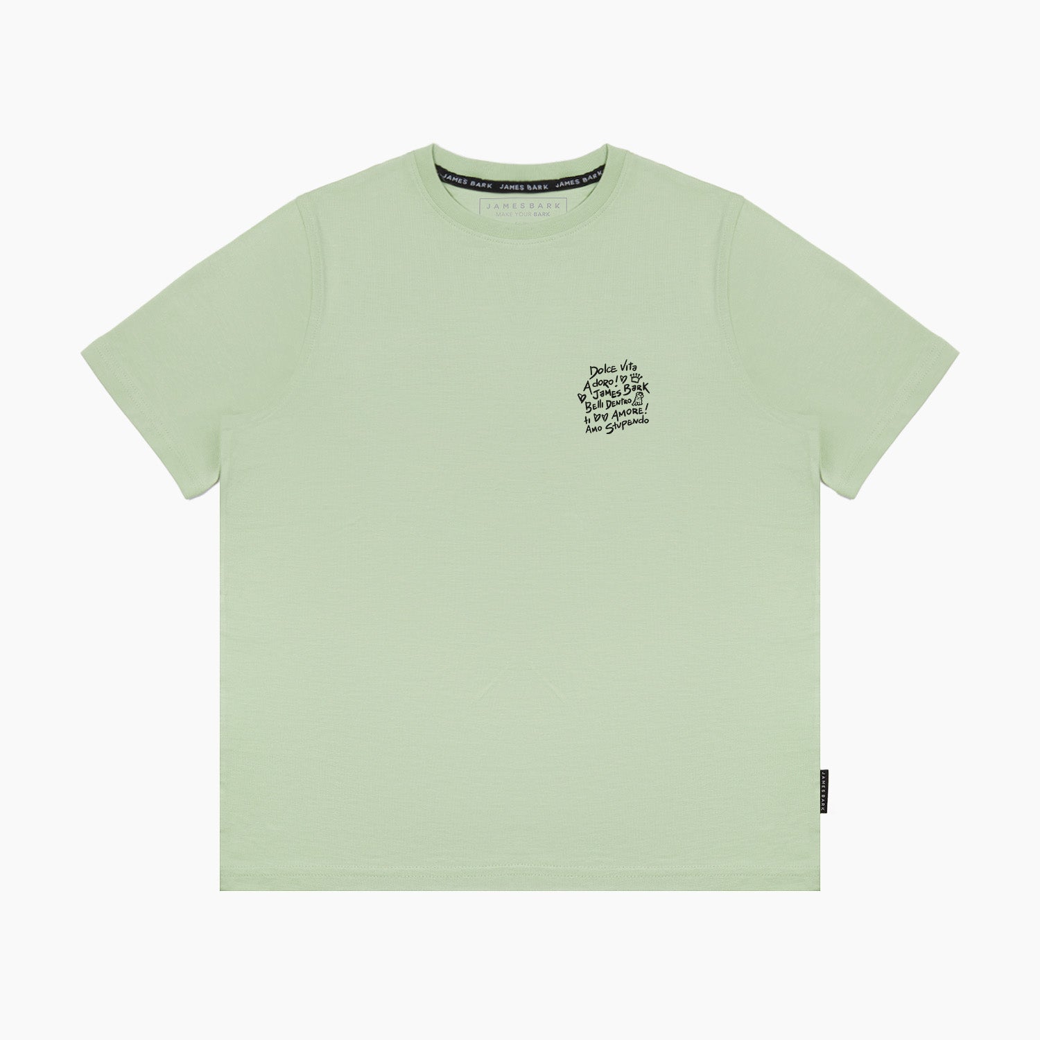 Flat lay of the light green T-shirt with text graphic on the chest.