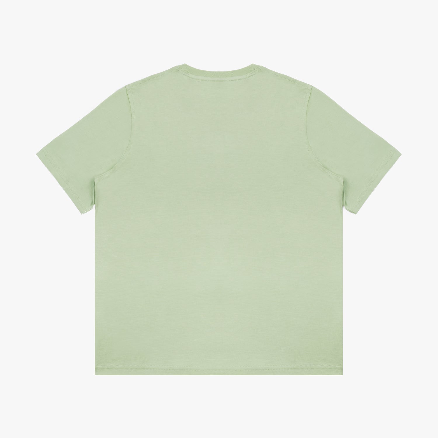 Flat lay of the back of the light green T-shirt.