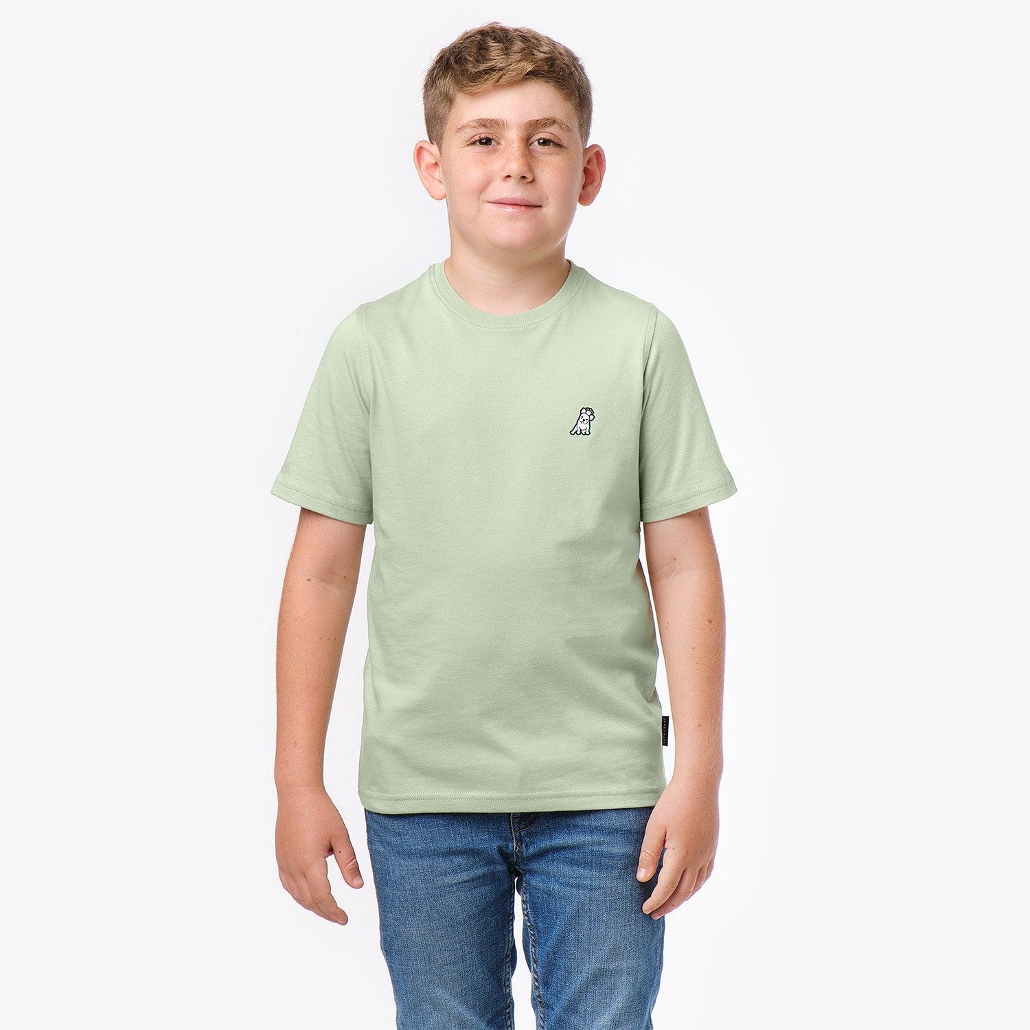 Front view of a boy wearing a light green T-shirt with a small dog graphic on the chest."