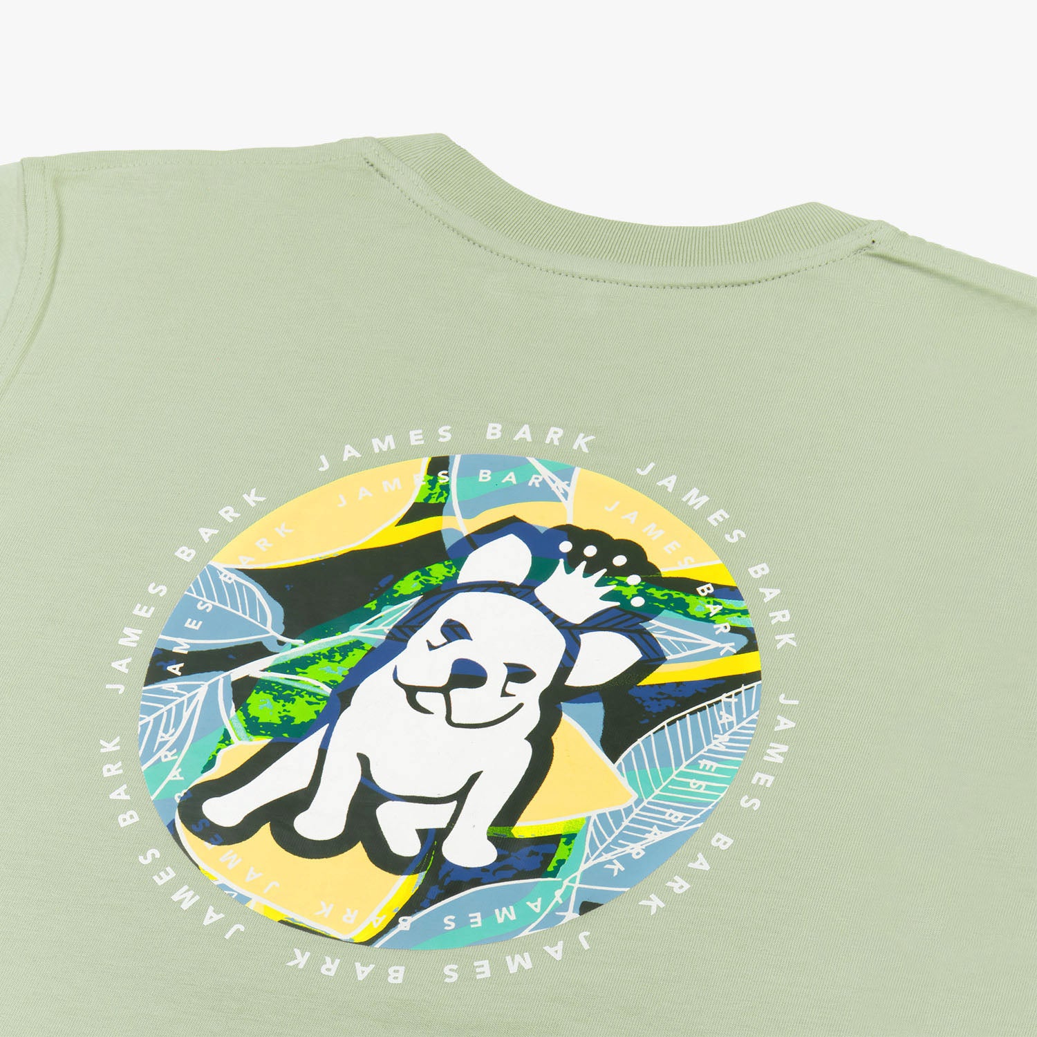 Full view of a boy wearing the light green T-shirt with the small dog graphic on the chest and the colorful dog graphic on the back, standing with his hands by his sides.