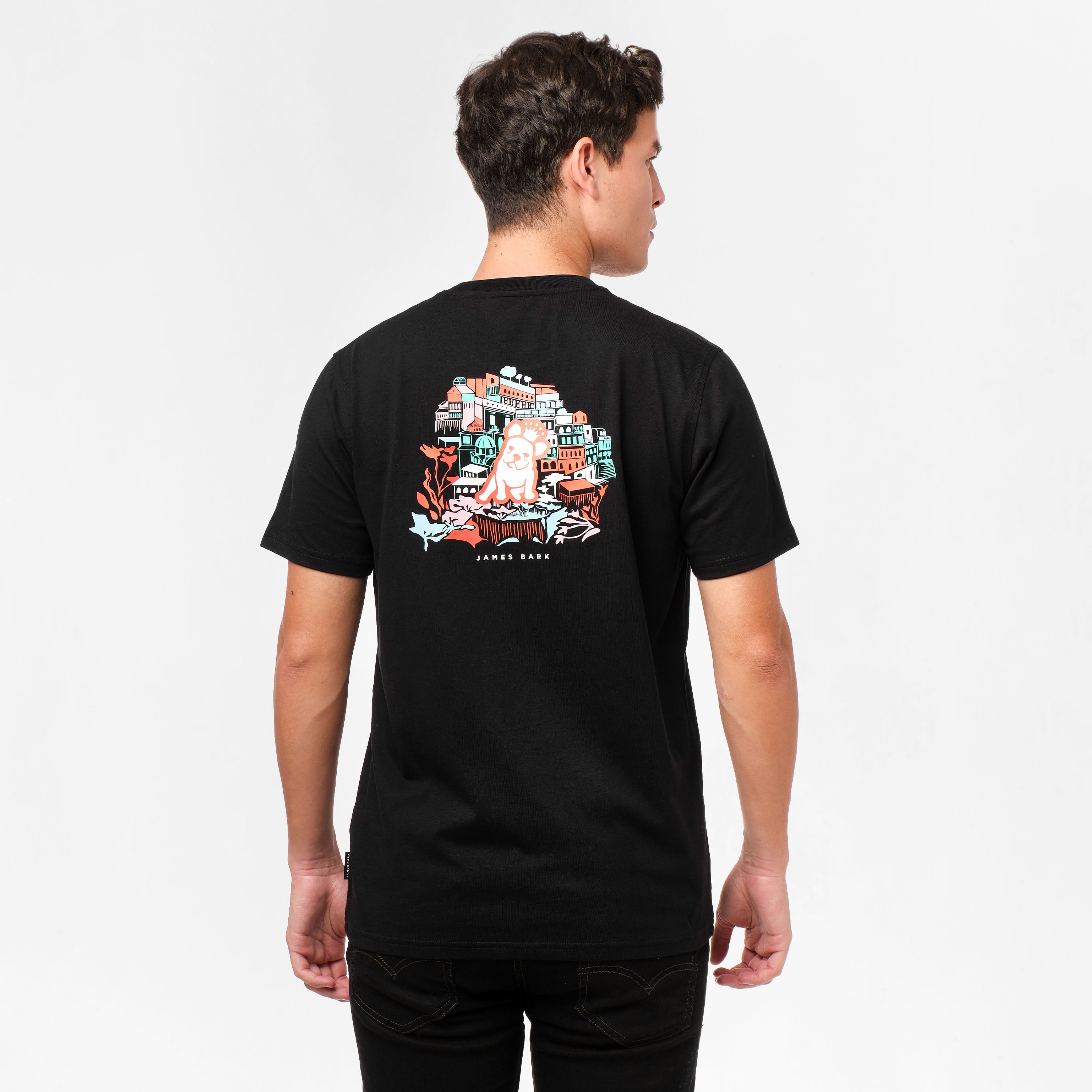 Men's Positano Graphic Tee-JAMES BARK