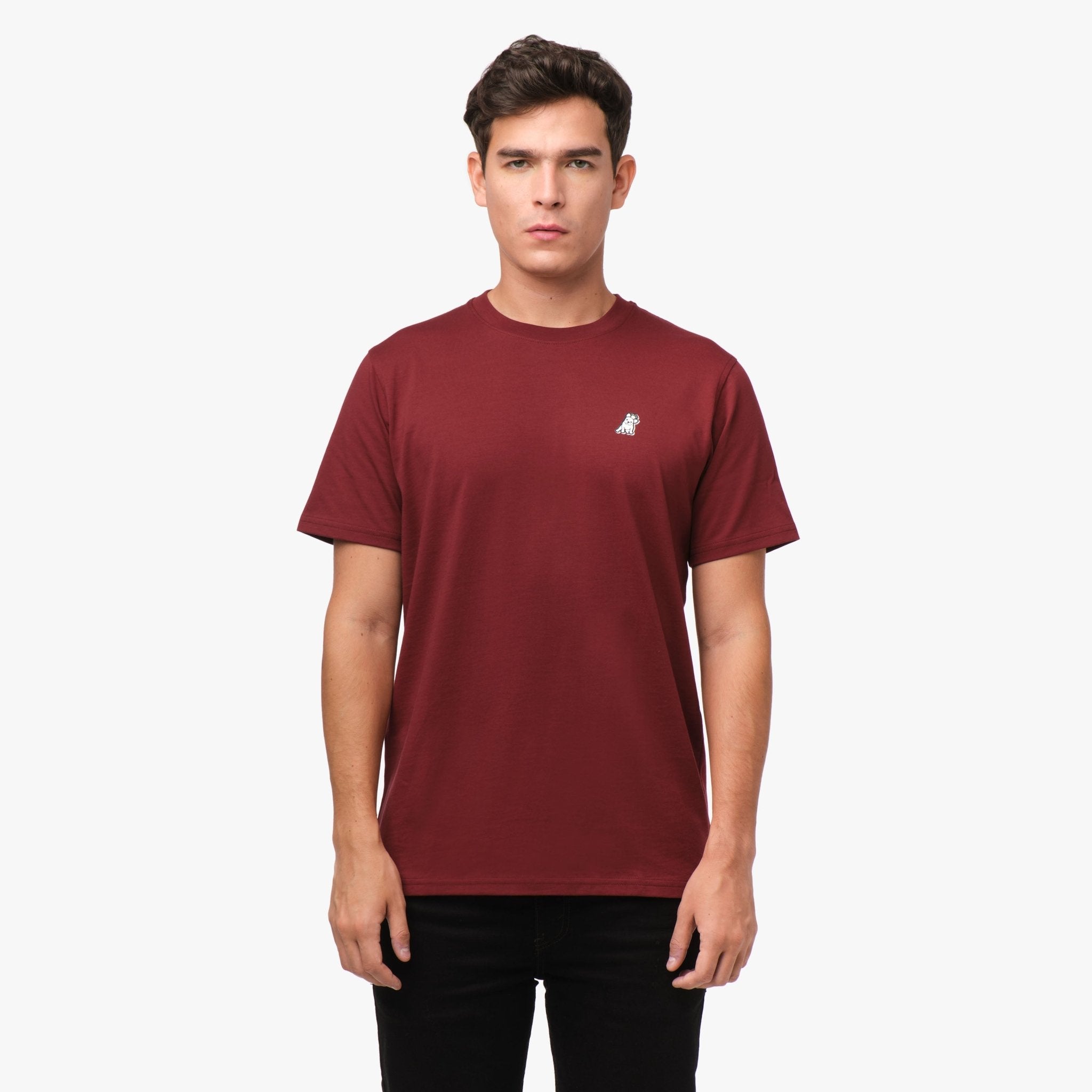 Men's Amalfi Graphic Tee - JAMES BARK