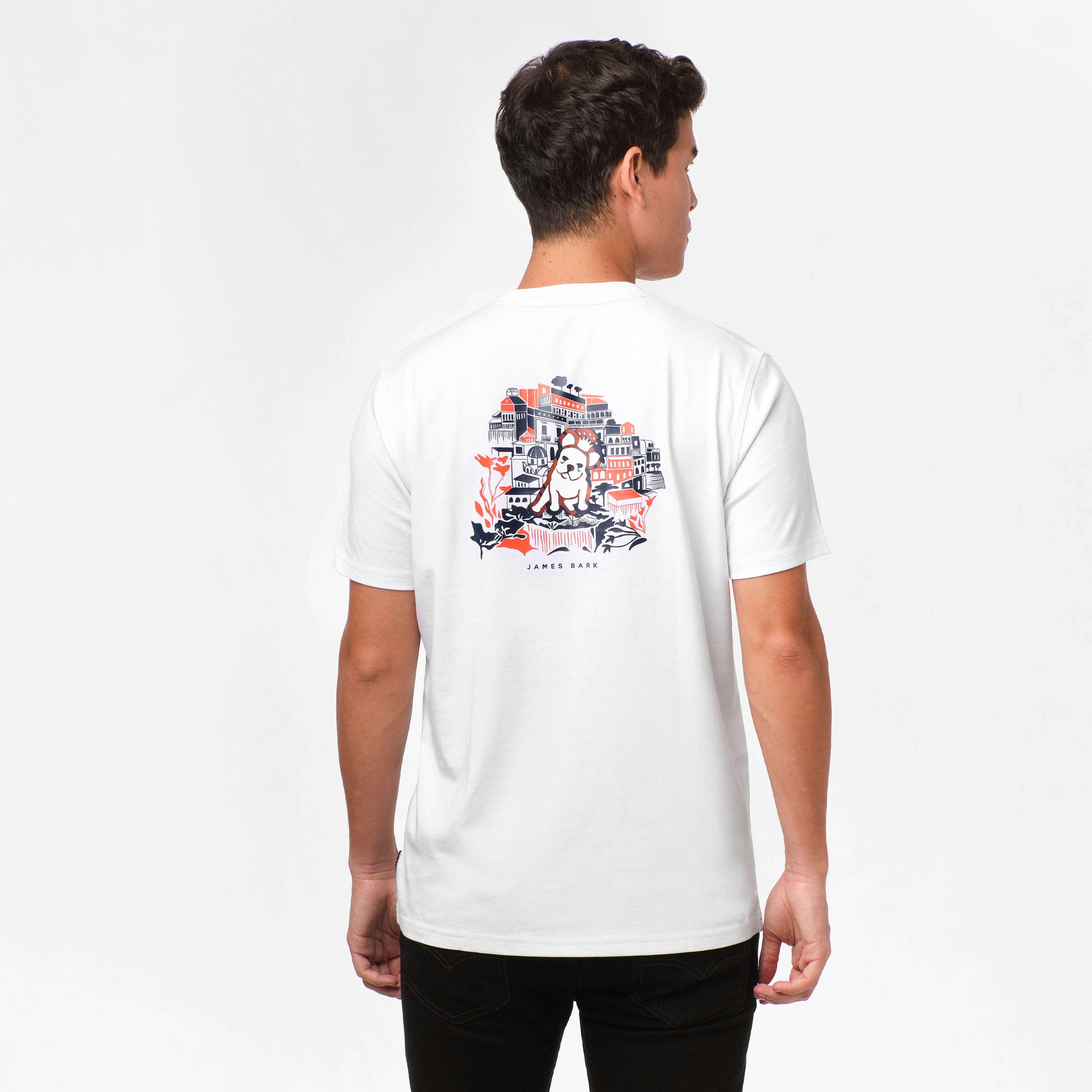 Men's Positano Graphic Tee-JAMES BARK