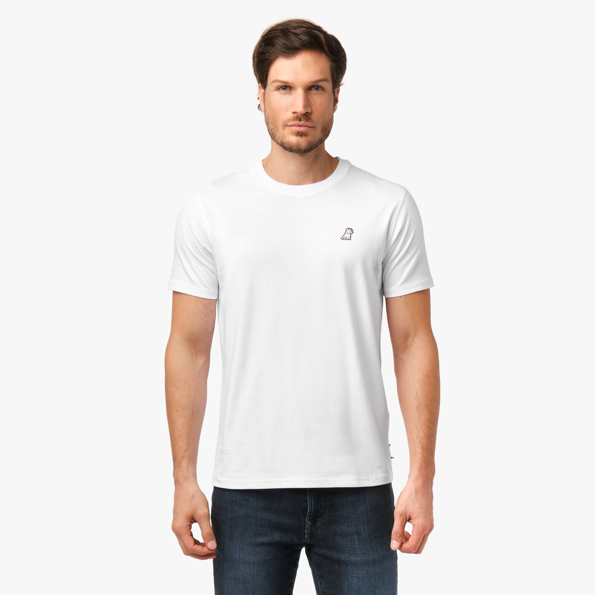 Men's Amalfi Signs Graphic Tee - JAMES BARK