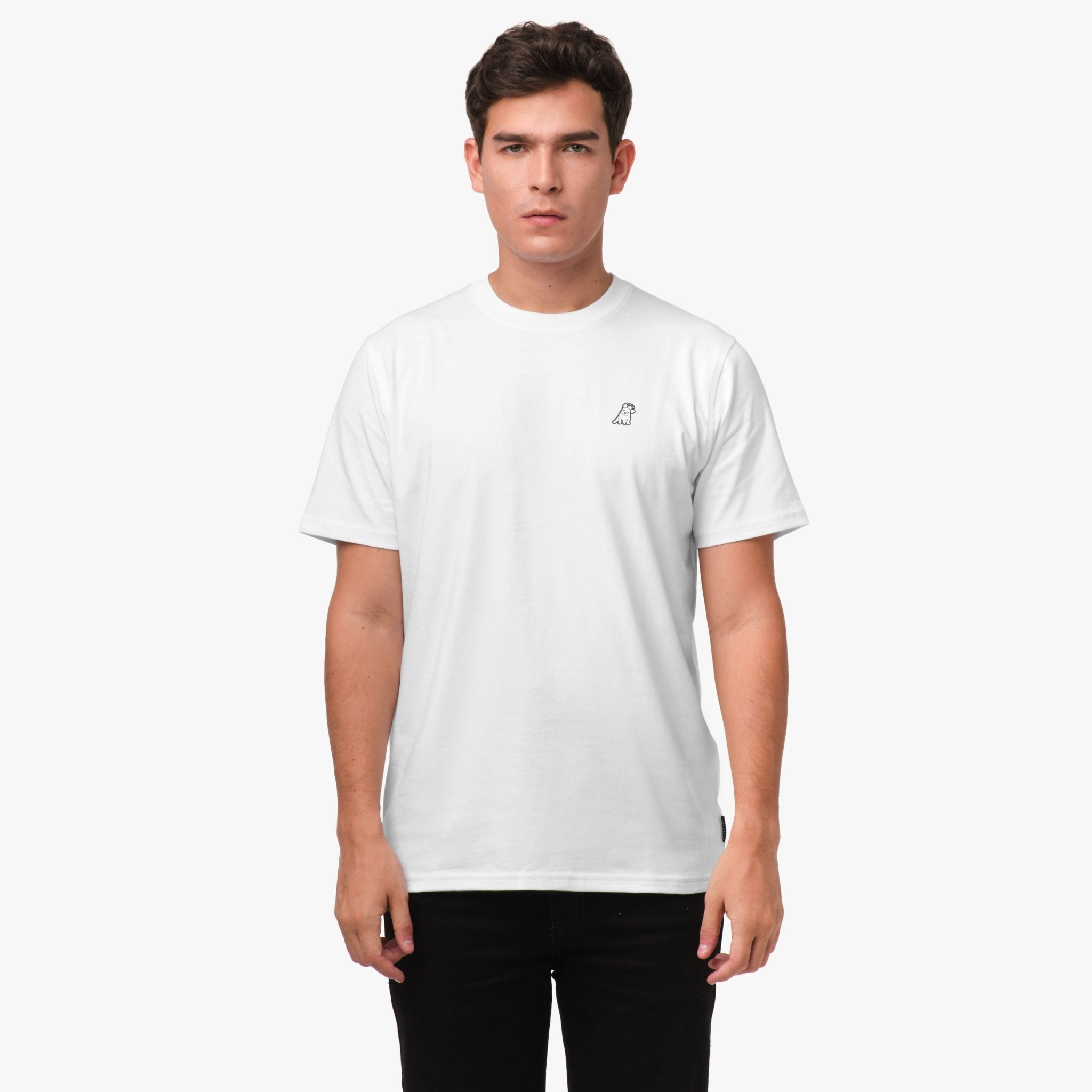 Men's Amalfi Graphic Tee - JAMES BARK