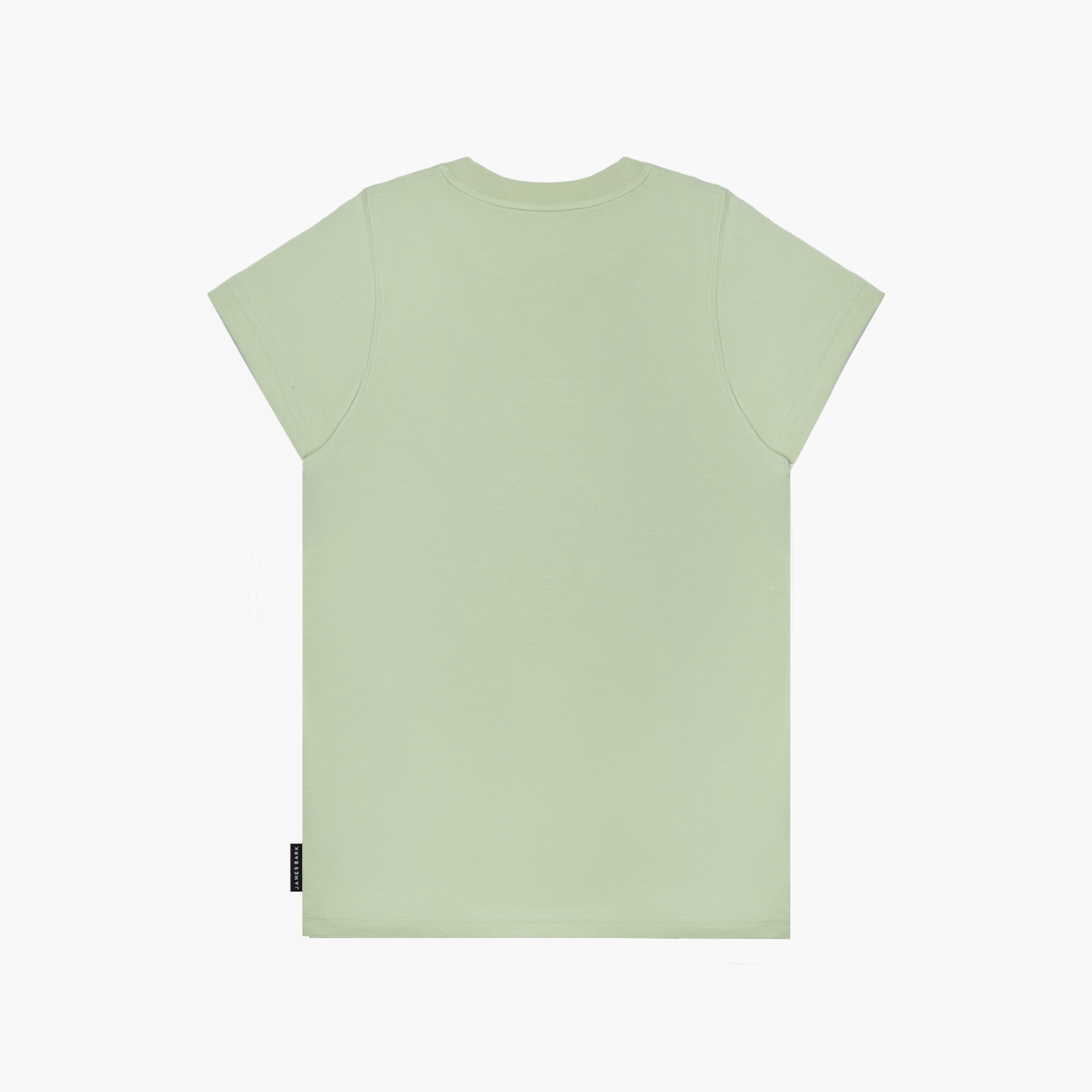 A flat lay of the back of the light green T-shirt with no design visible.